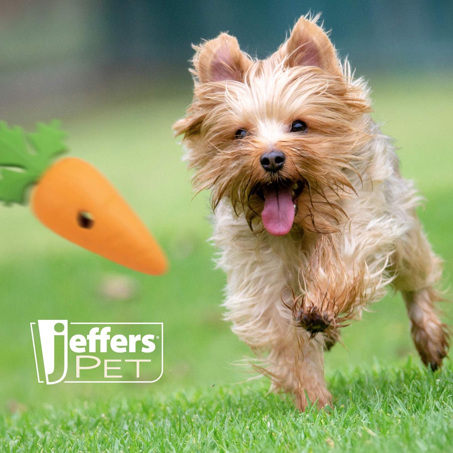 Luxury Pet Essentials - Purrfect Pet Kingdom™