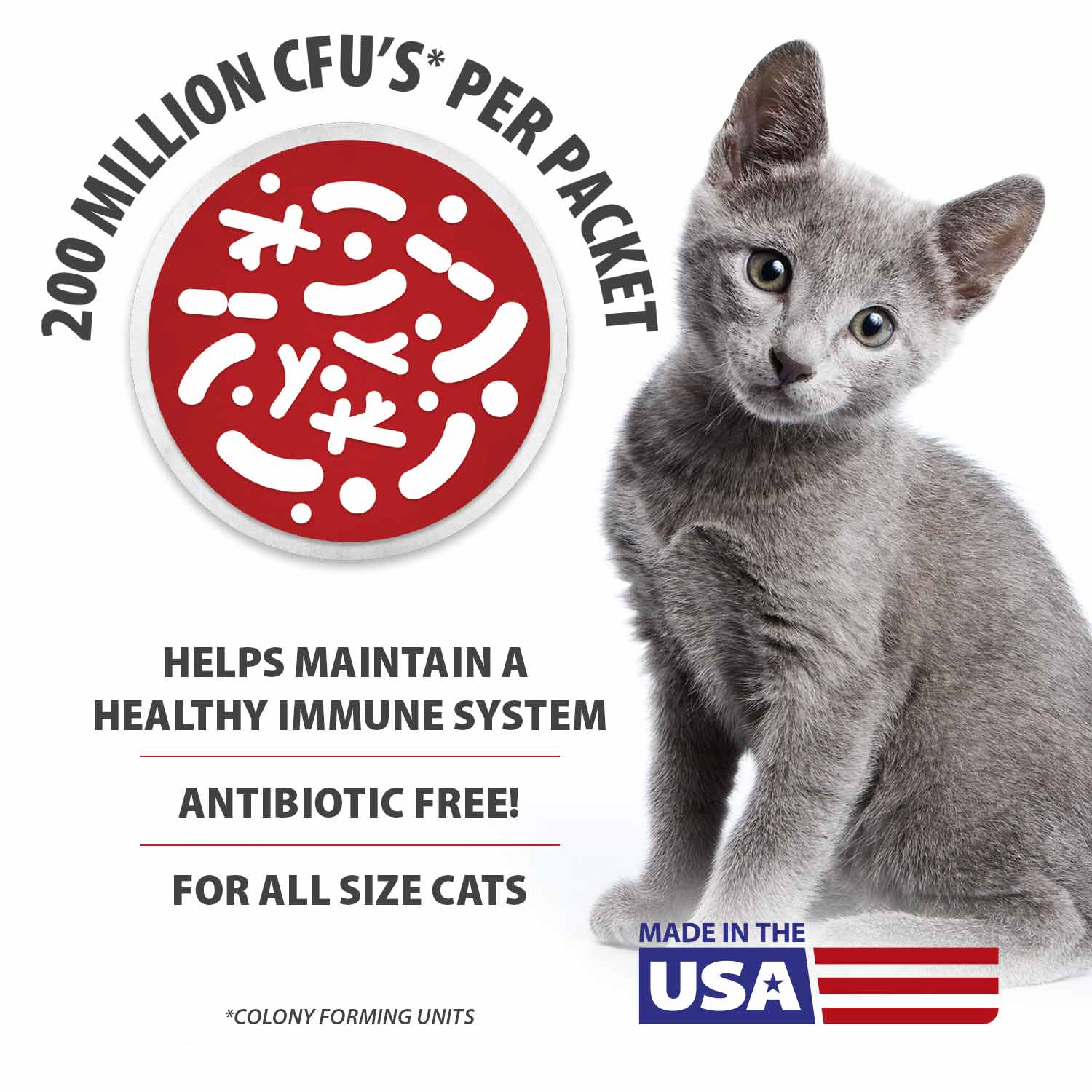 Luxury Pet Essentials - Purrfect Pet Kingdom™