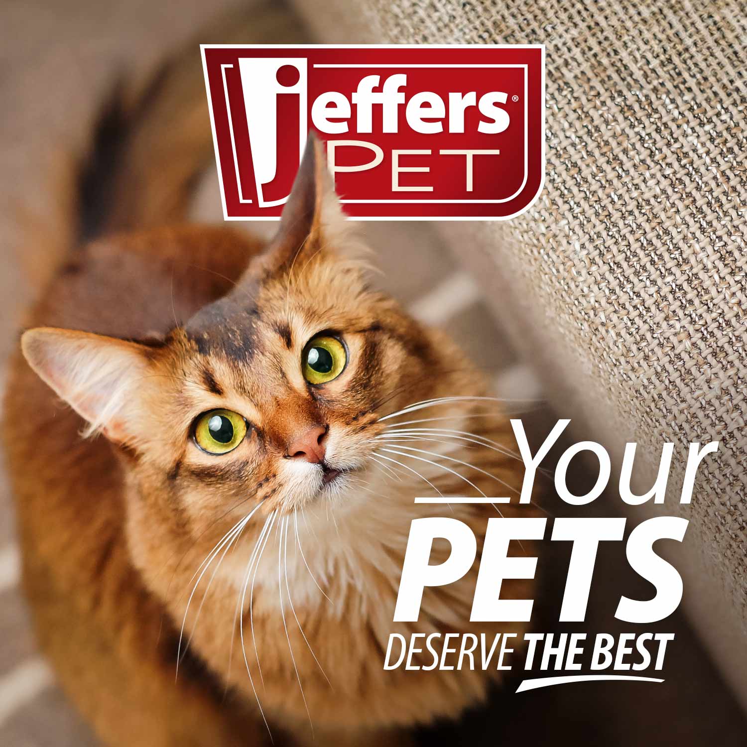 Luxury Pet Essentials - Purrfect Pet Kingdom™