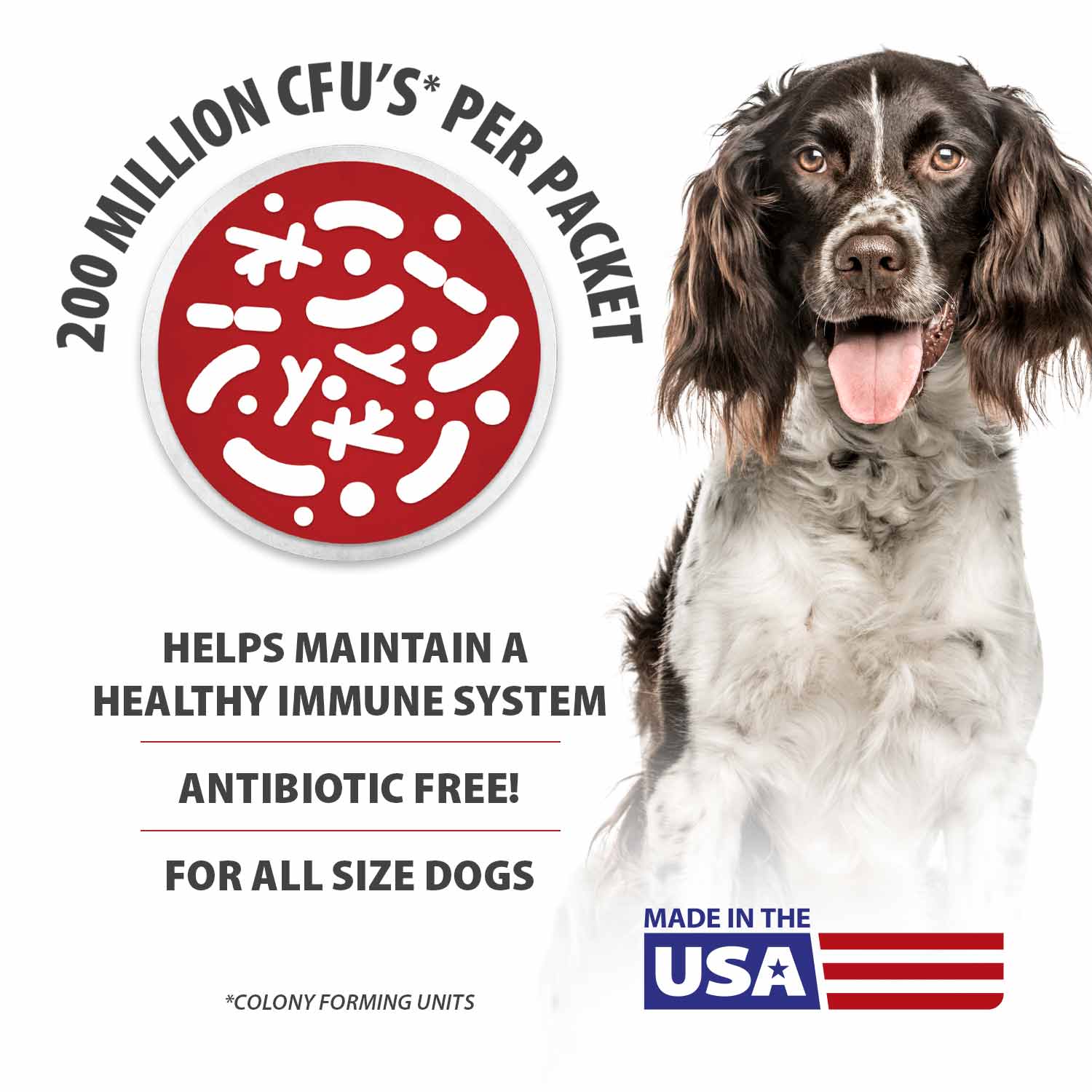 Luxury Pet Essentials - Purrfect Pet Kingdom™