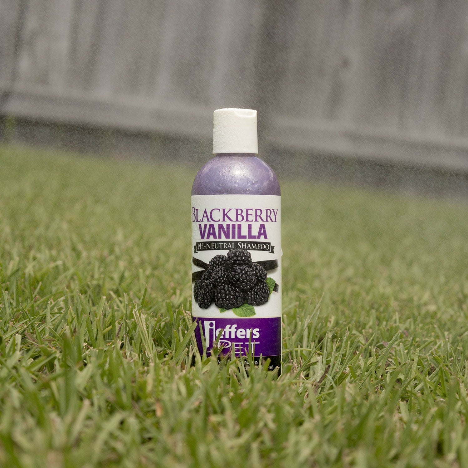 Luxury Pet Essentials - Purrfect Pet Kingdom™