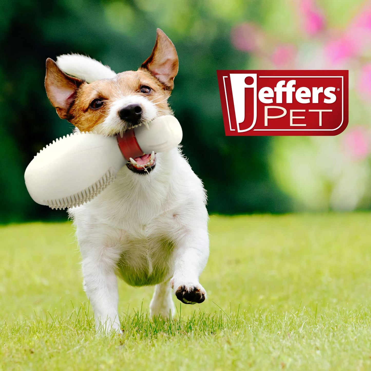 Luxury Pet Essentials - Purrfect Pet Kingdom™