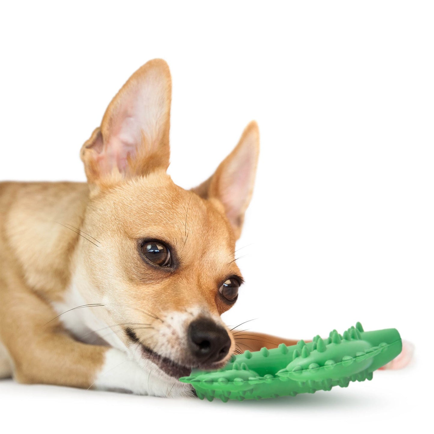 Luxury Pet Essentials - Purrfect Pet Kingdom™