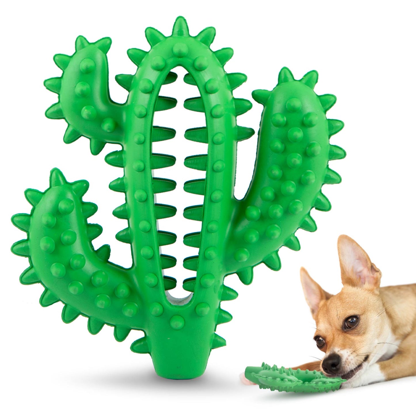 Jeffers Cactus Natural Rubber Dental Chew Toy for Dogs for Healthy | Majestic Pet Kingdom™