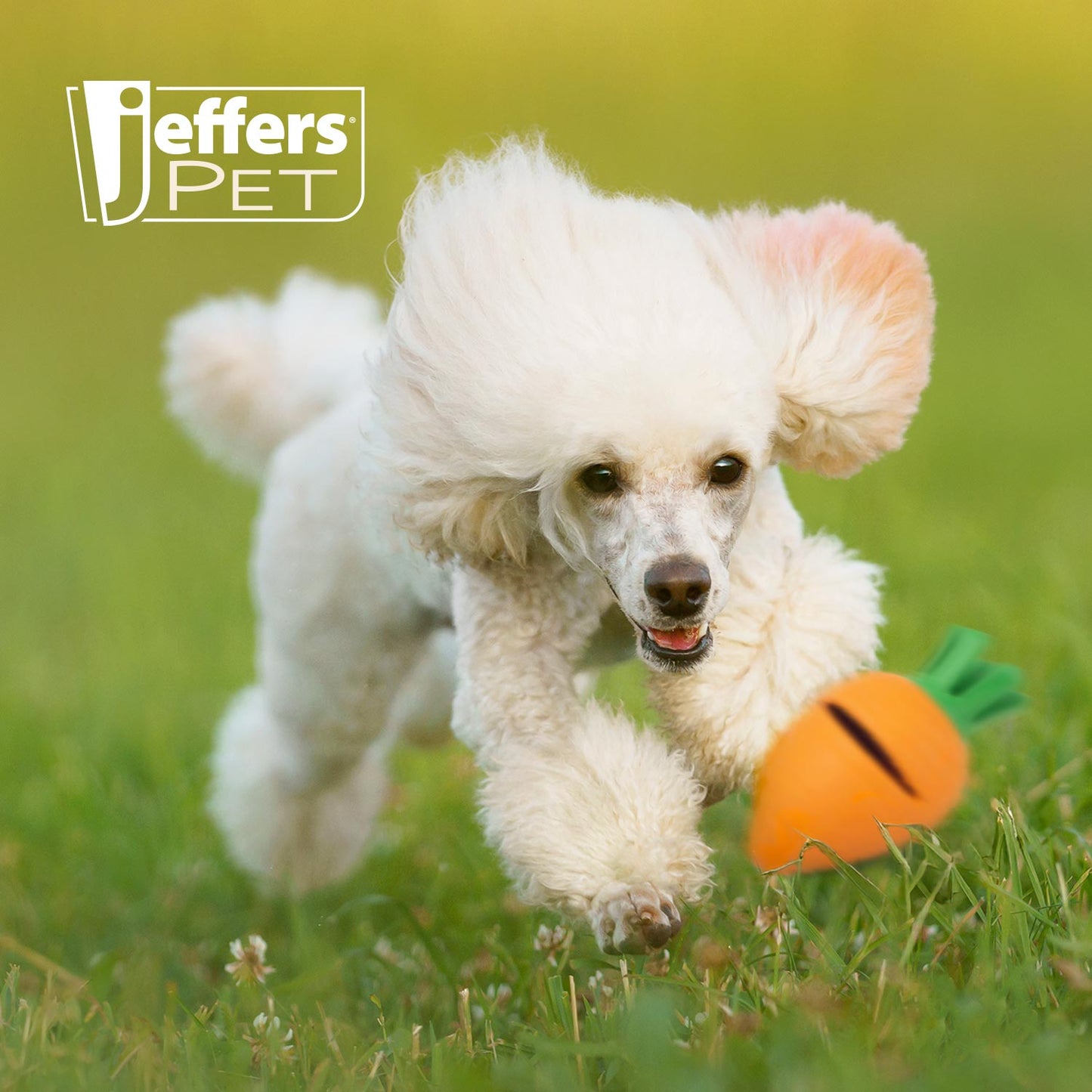 Luxury Pet Essentials - Purrfect Pet Kingdom™