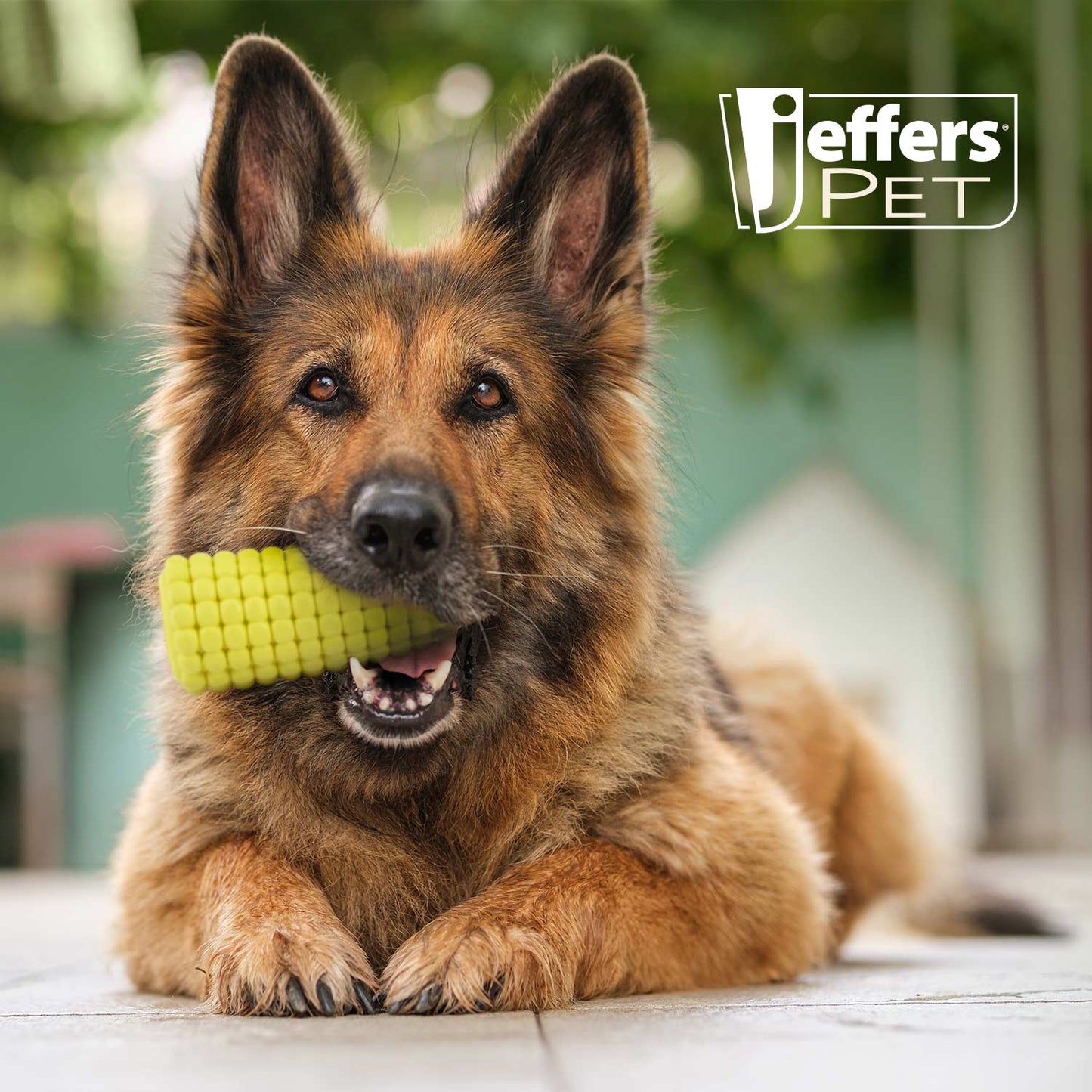 Luxury Pet Essentials - Purrfect Pet Kingdom™