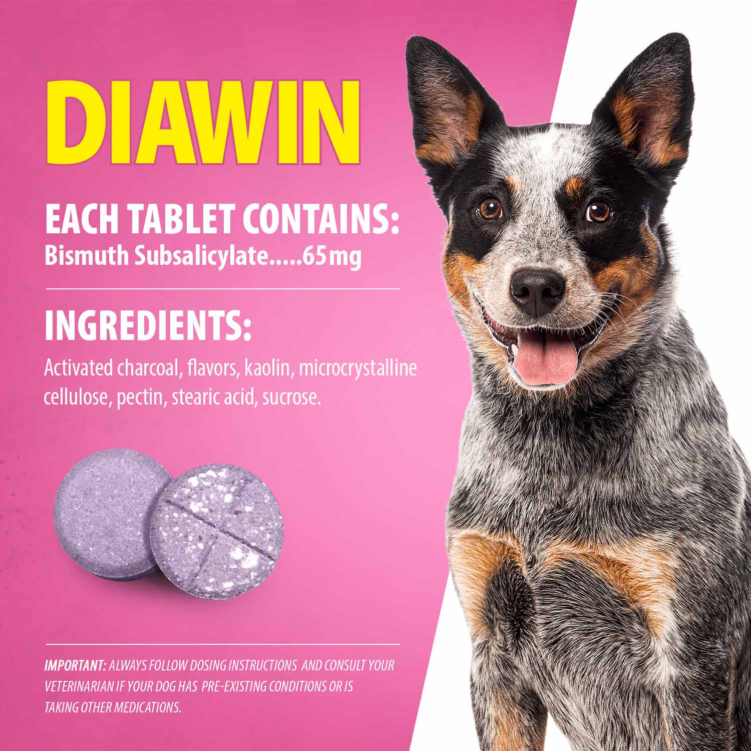 Luxury Pet Essentials - Purrfect Pet Kingdom™