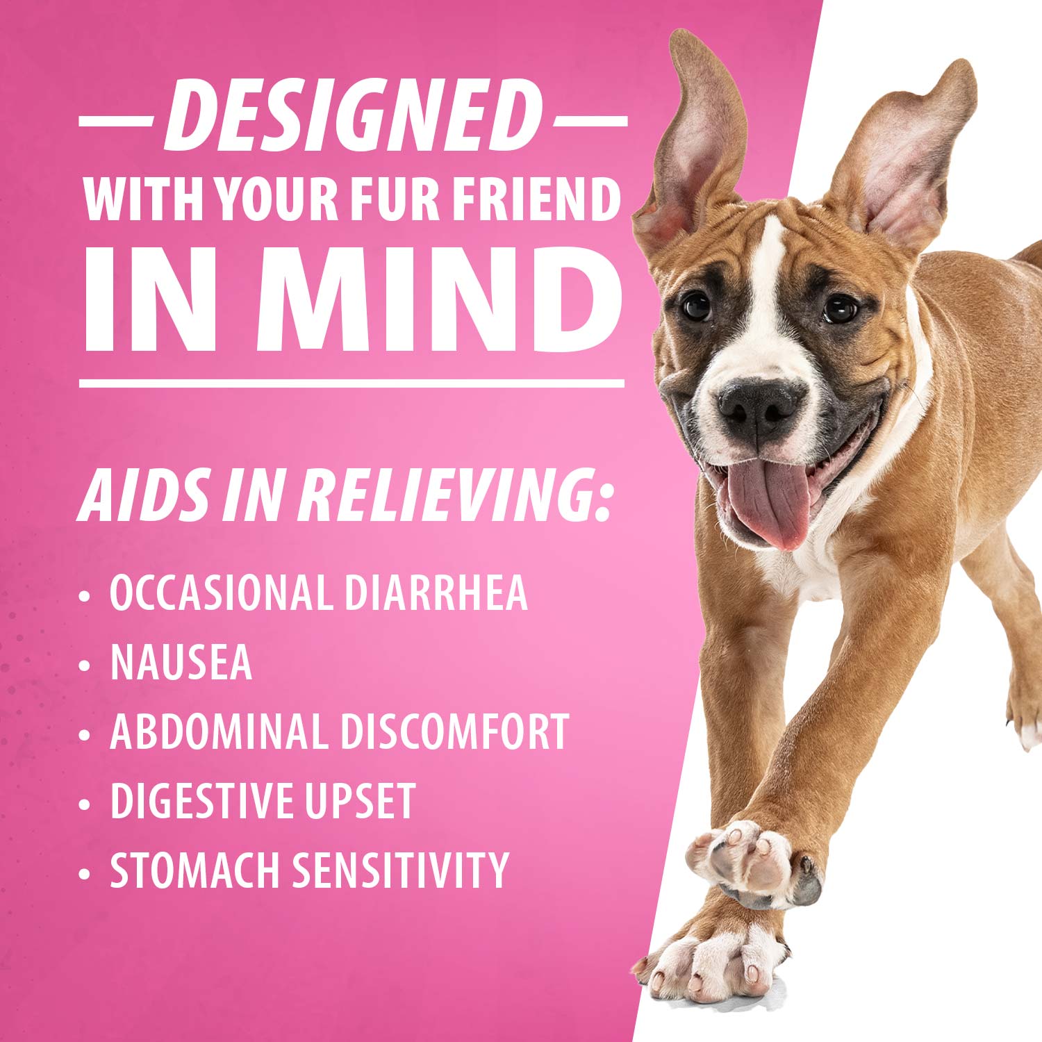 Luxury Pet Essentials - Purrfect Pet Kingdom™
