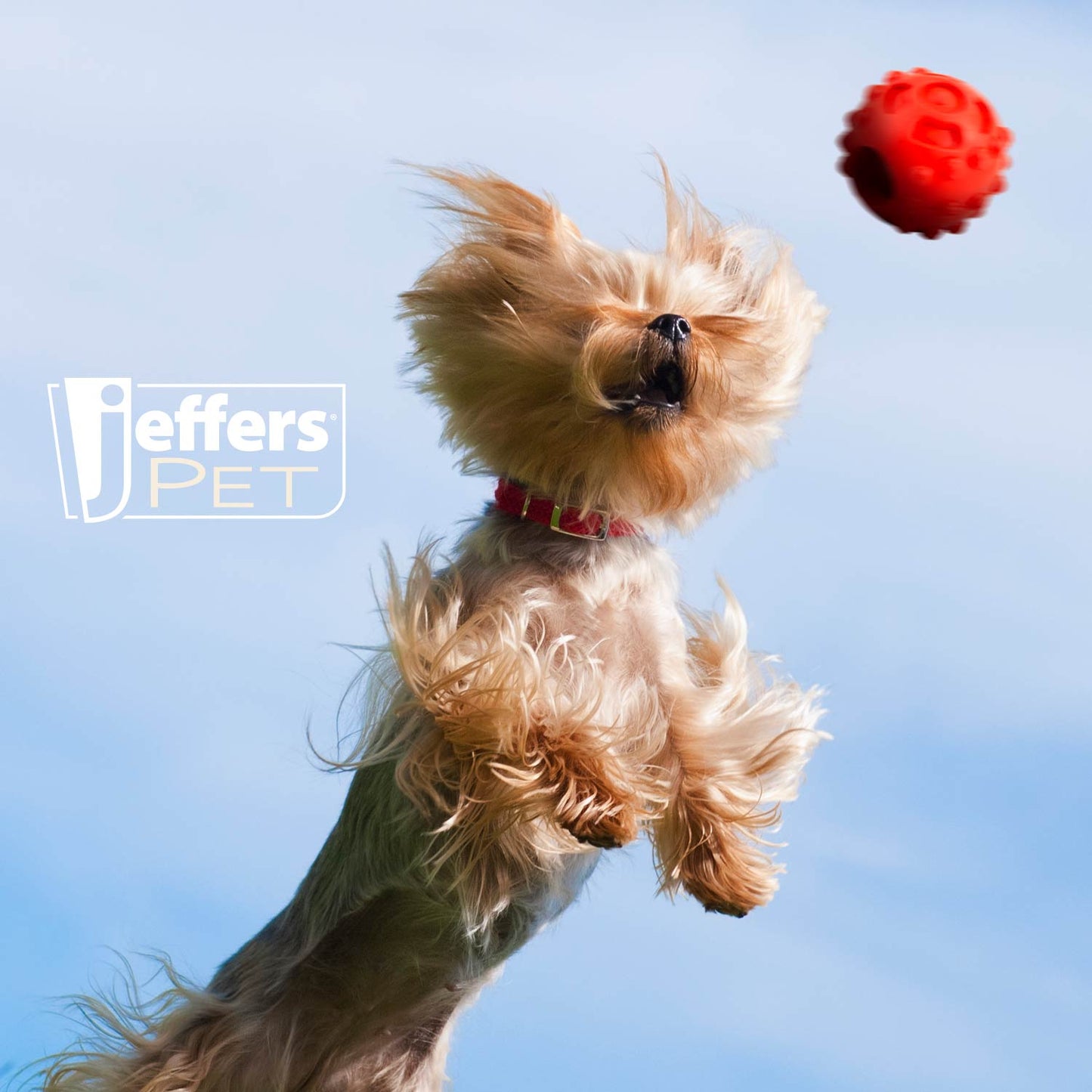 Luxury Pet Essentials - Purrfect Pet Kingdom™