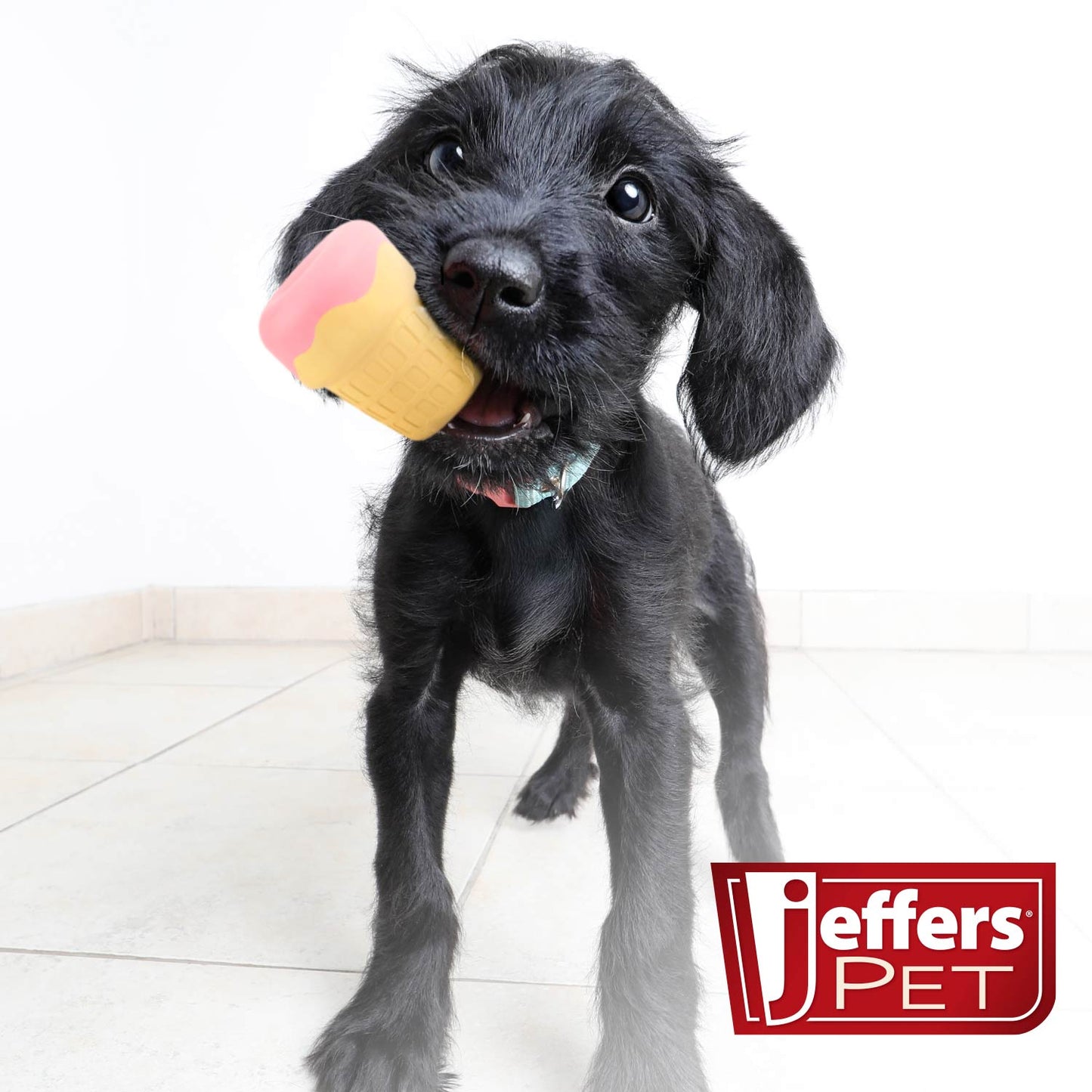 Luxury Pet Essentials - Purrfect Pet Kingdom™