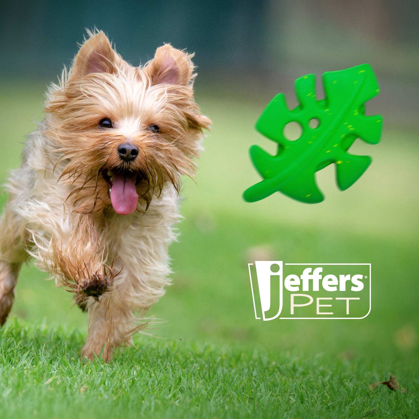 Luxury Pet Essentials - Purrfect Pet Kingdom™