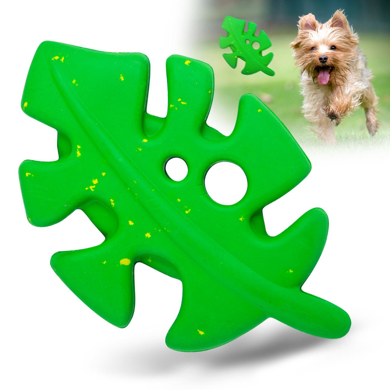 Jeffers Leaf Shaped Natural Rubber Dog Chew Toy with Dental Benefits | Majestic Pet Kingdom™