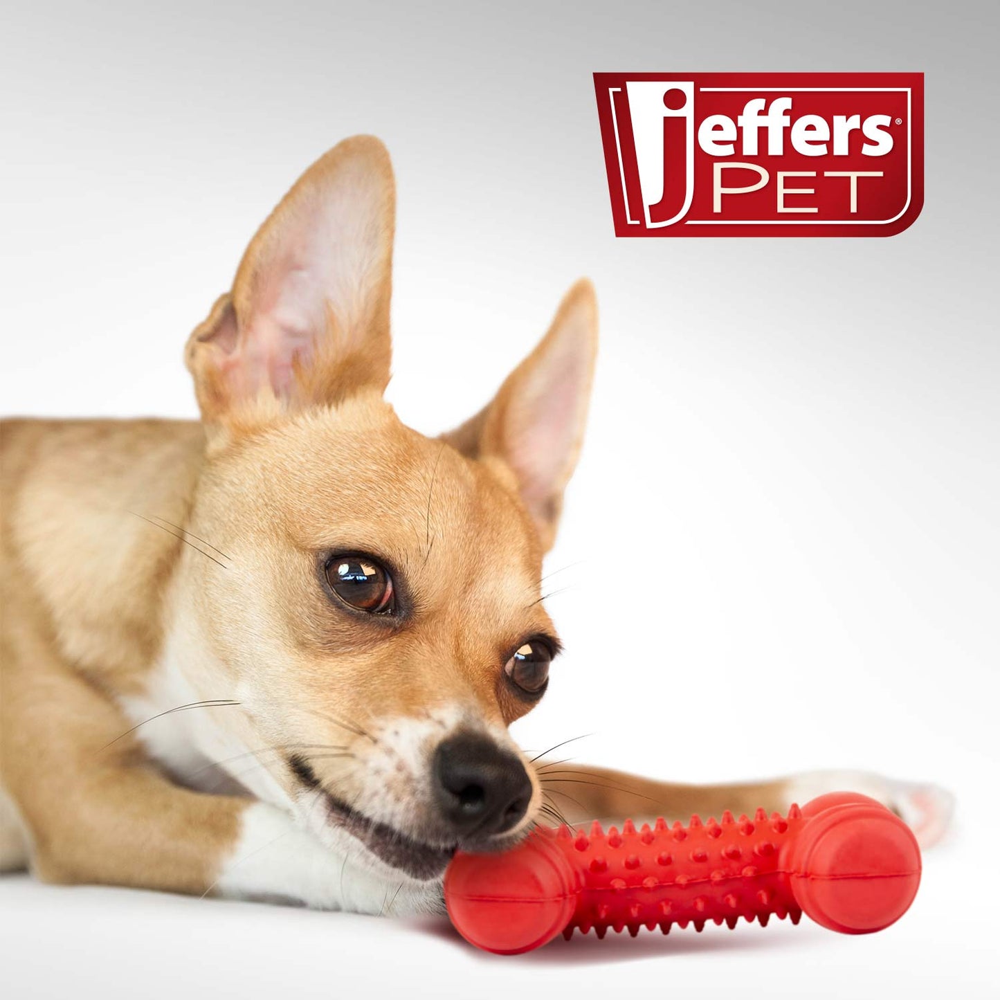Luxury Pet Essentials - Purrfect Pet Kingdom™