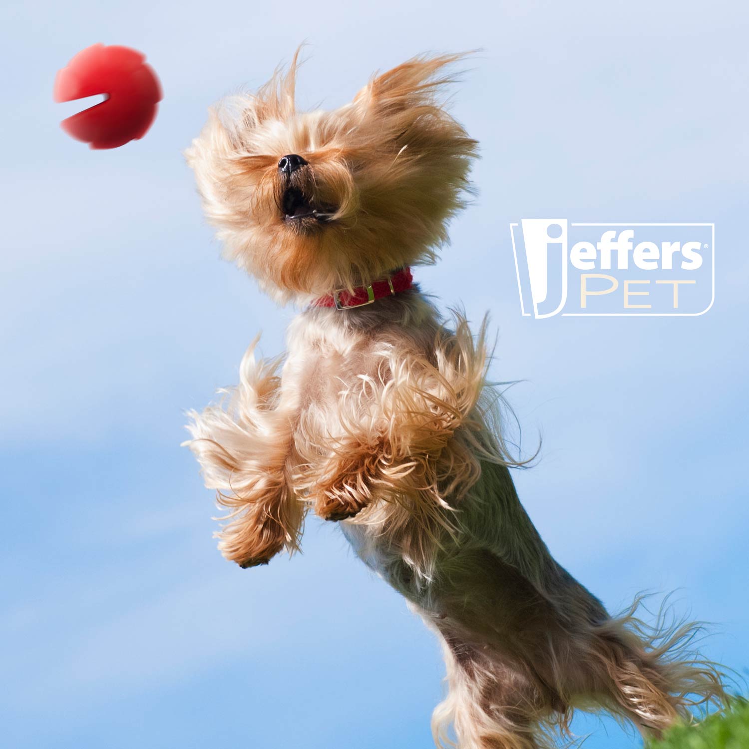 Luxury Pet Essentials - Purrfect Pet Kingdom™