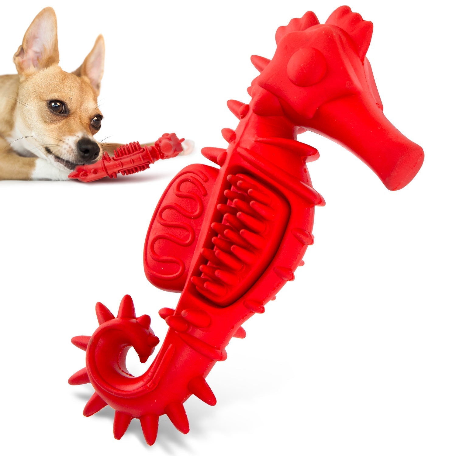 Jeffers Red Seahorse Natural Rubber Dog Chew Toy with Vanilla Scent | Majestic Pet Kingdom™