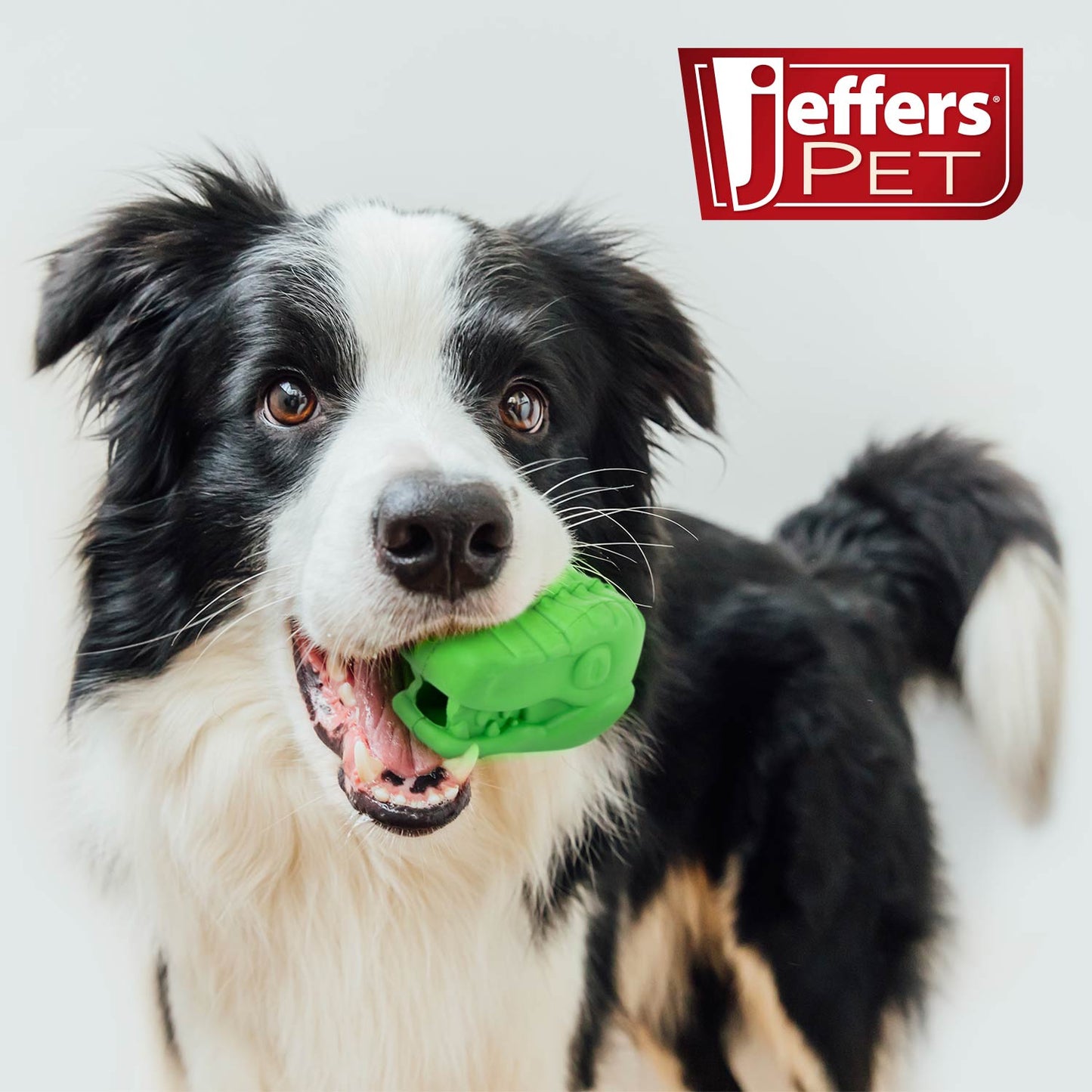 Luxury Pet Essentials - Purrfect Pet Kingdom™