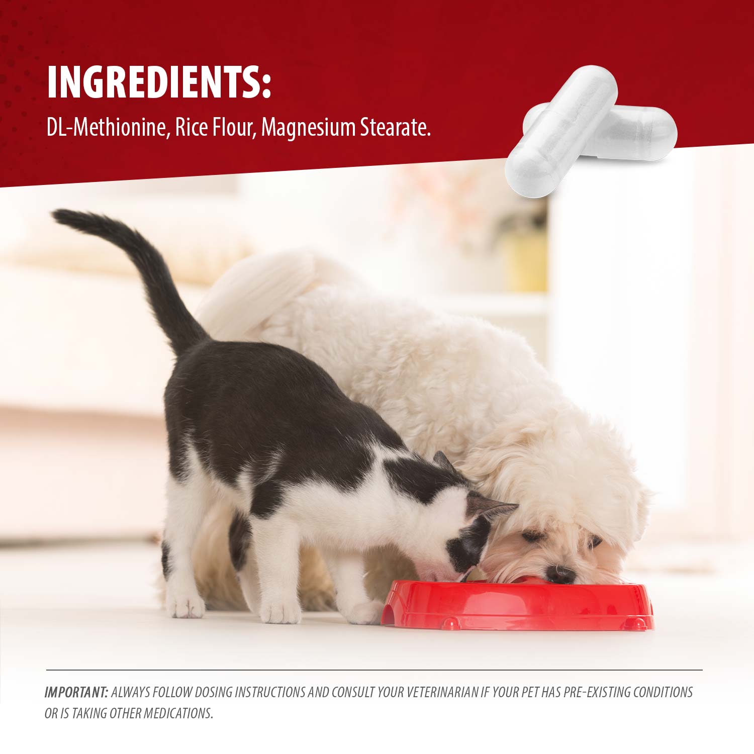 Luxury Pet Essentials - Purrfect Pet Kingdom™