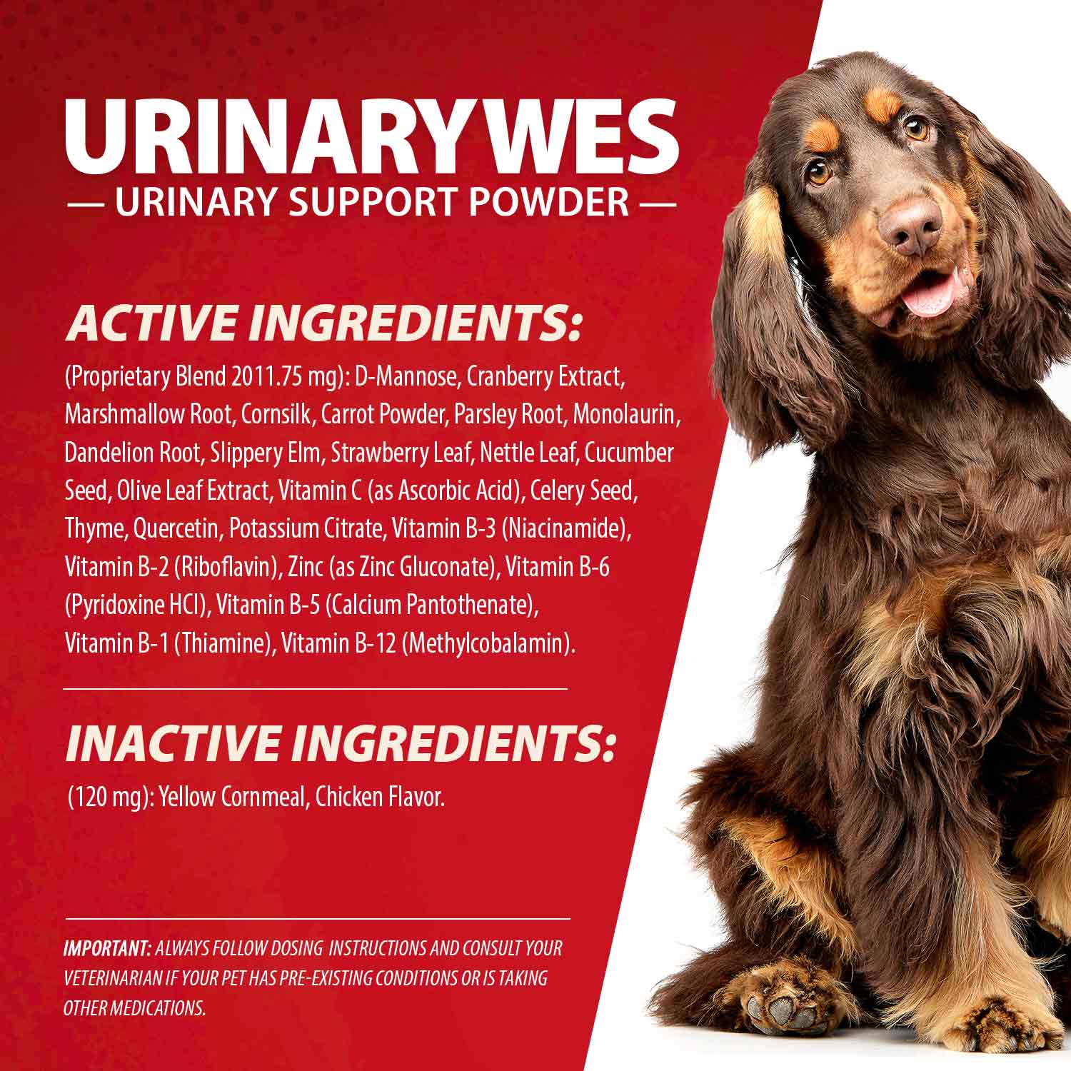 Luxury Pet Essentials - Purrfect Pet Kingdom™
