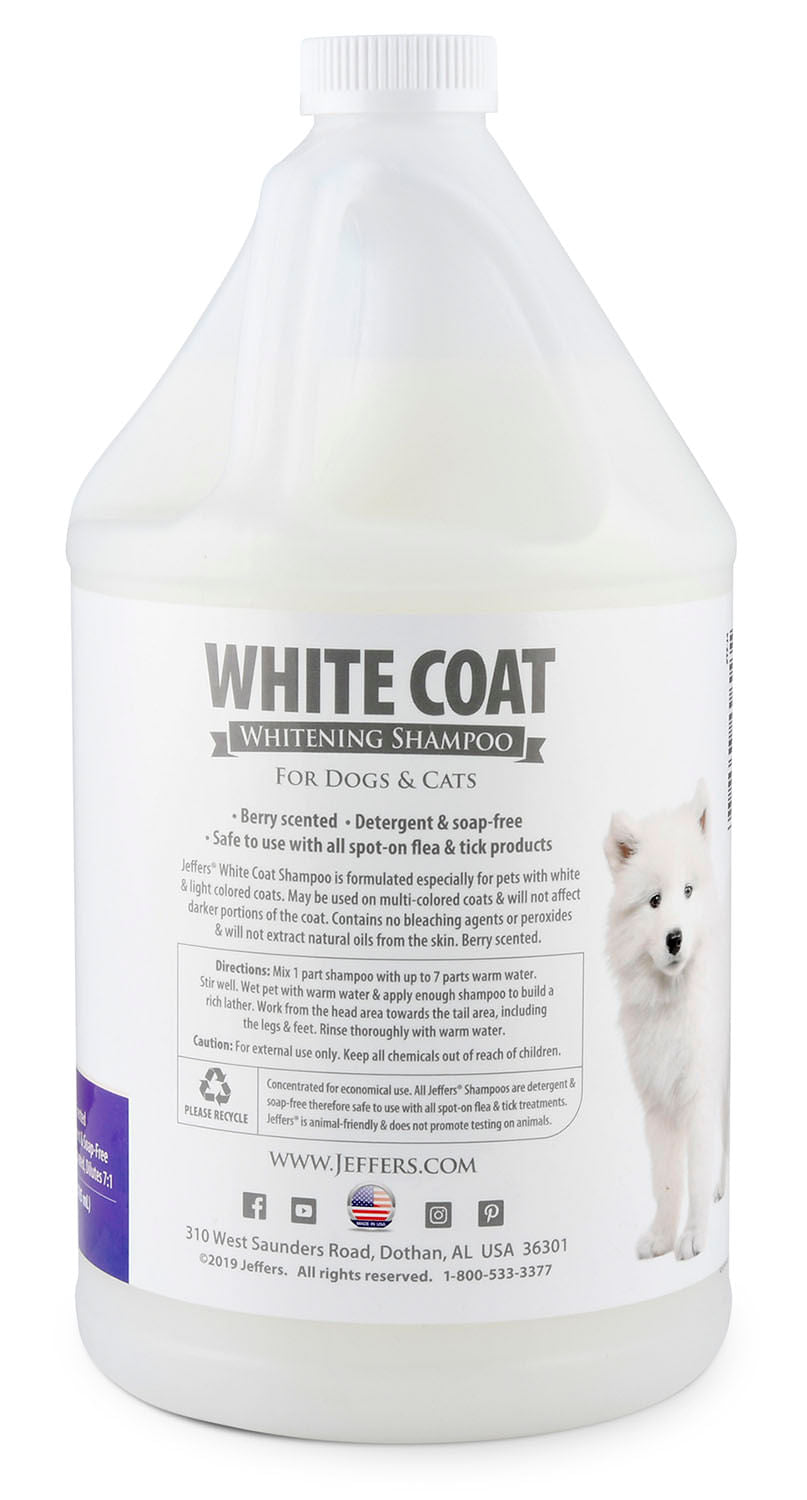 Luxury Pet Essentials - Purrfect Pet Kingdom™