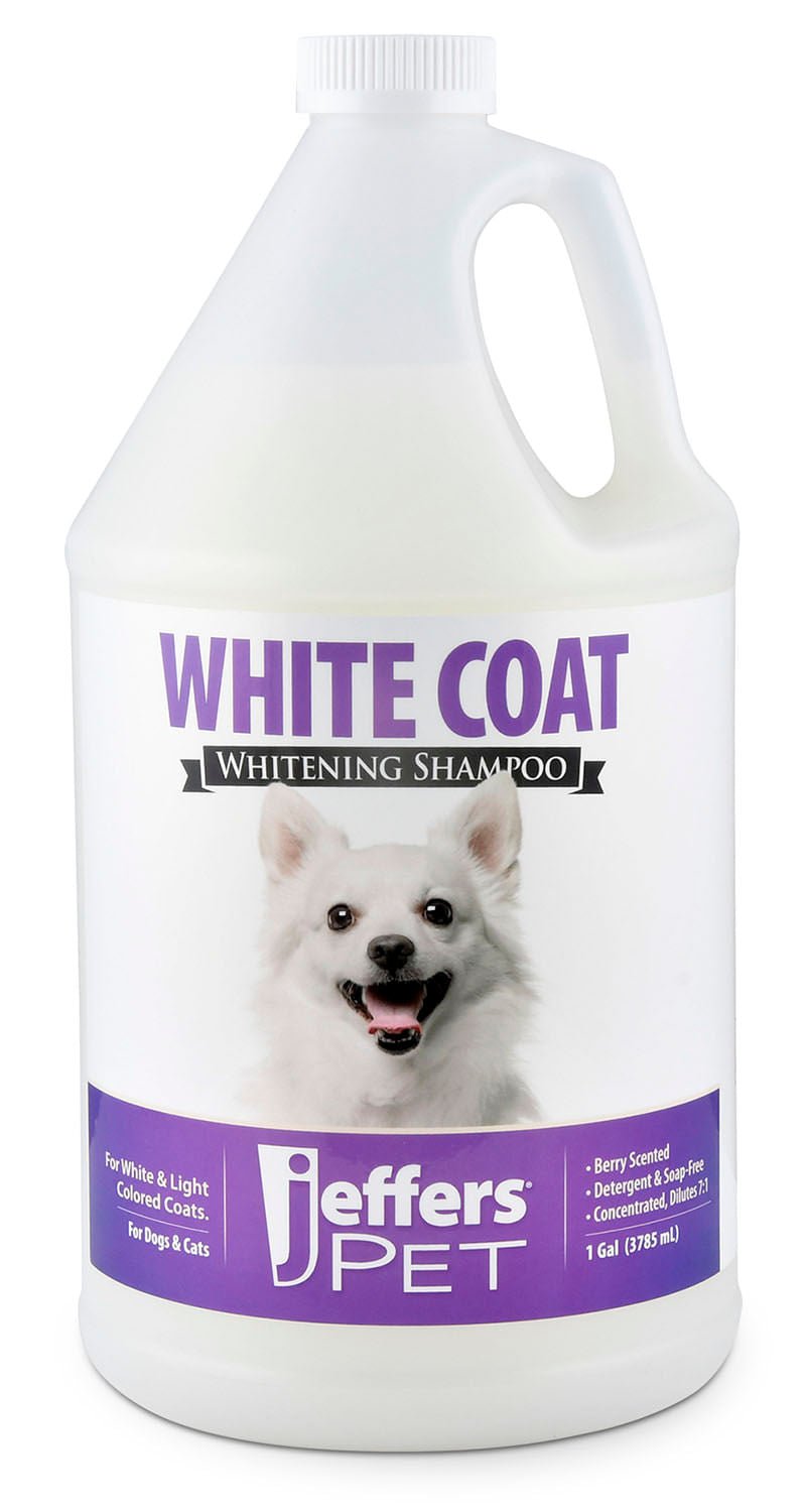 Luxury Pet Essentials - Purrfect Pet Kingdom™