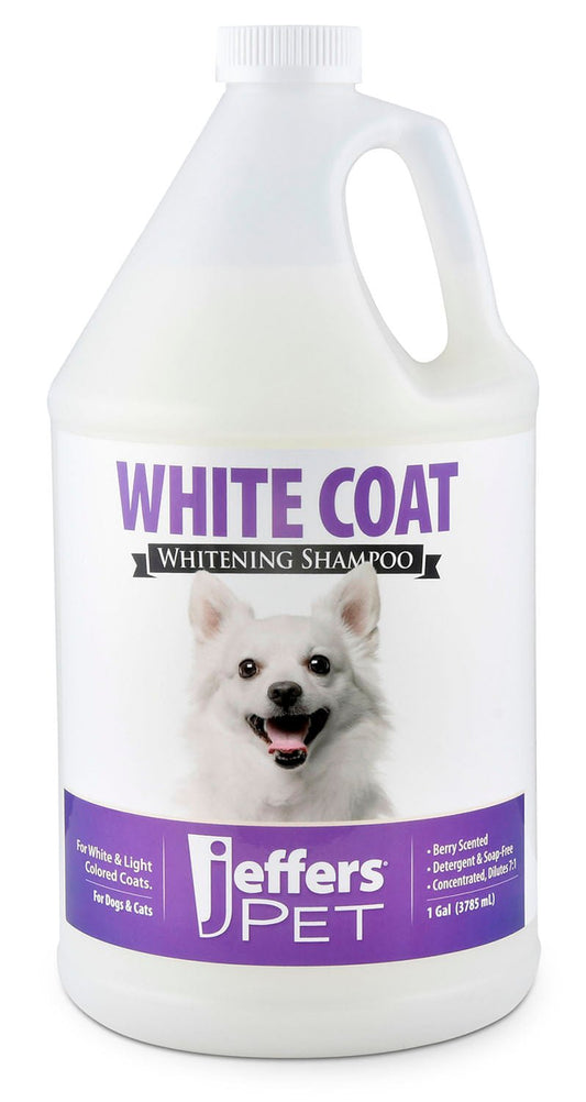 Luxury Pet Essentials - Purrfect Pet Kingdom™