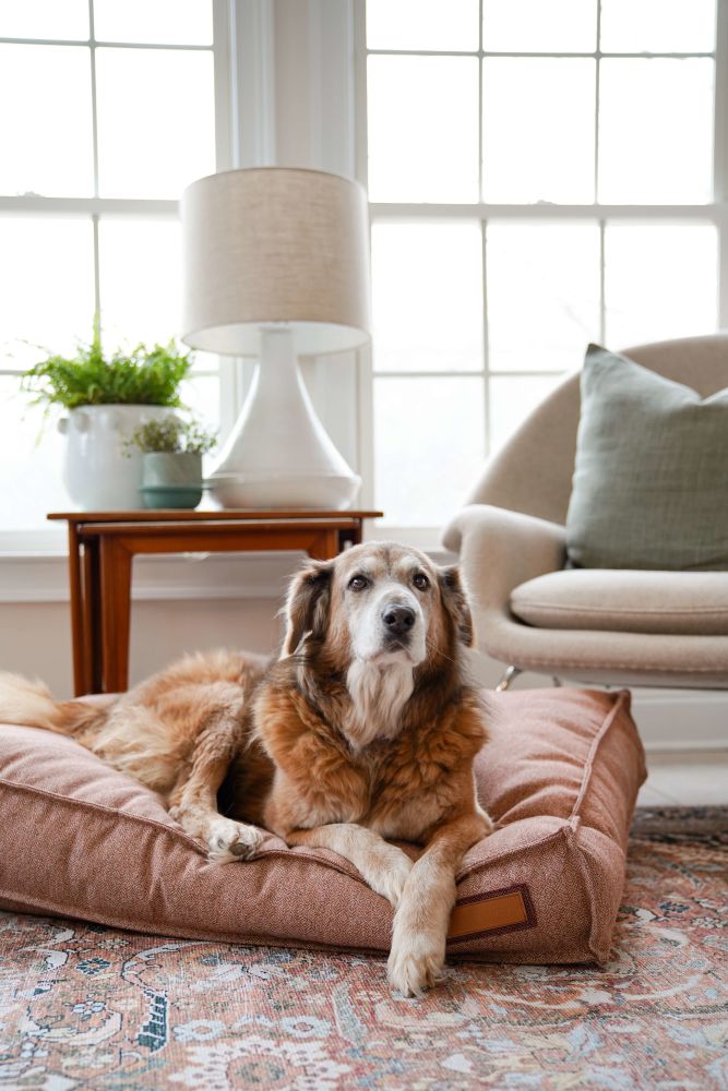 Lounger Pet Bed in Pittie Pink | Purrfect Pet Kingdom