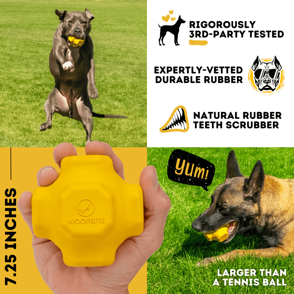 Luxury Pet Essentials - Purrfect Pet Kingdom™
