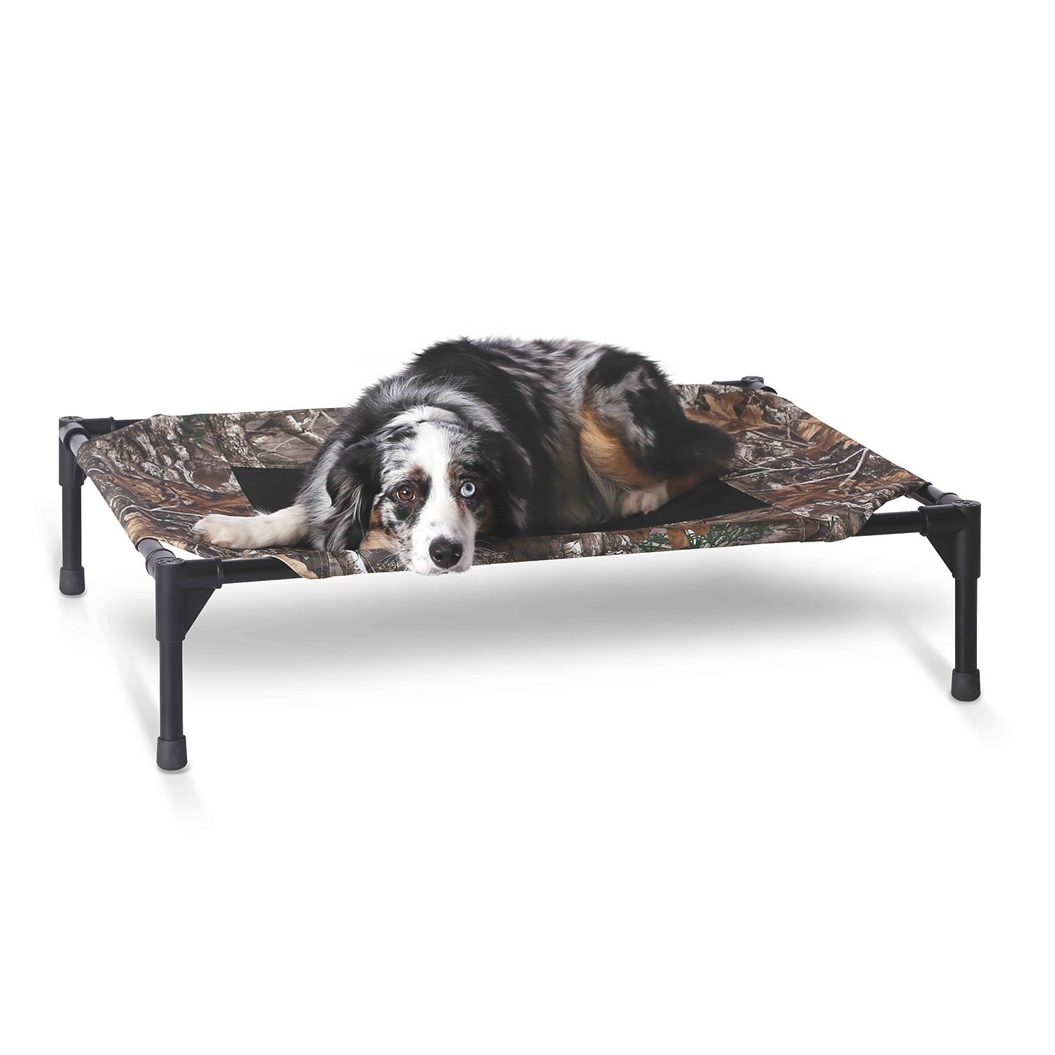 Luxury Pet Essentials - Purrfect Pet Kingdom™