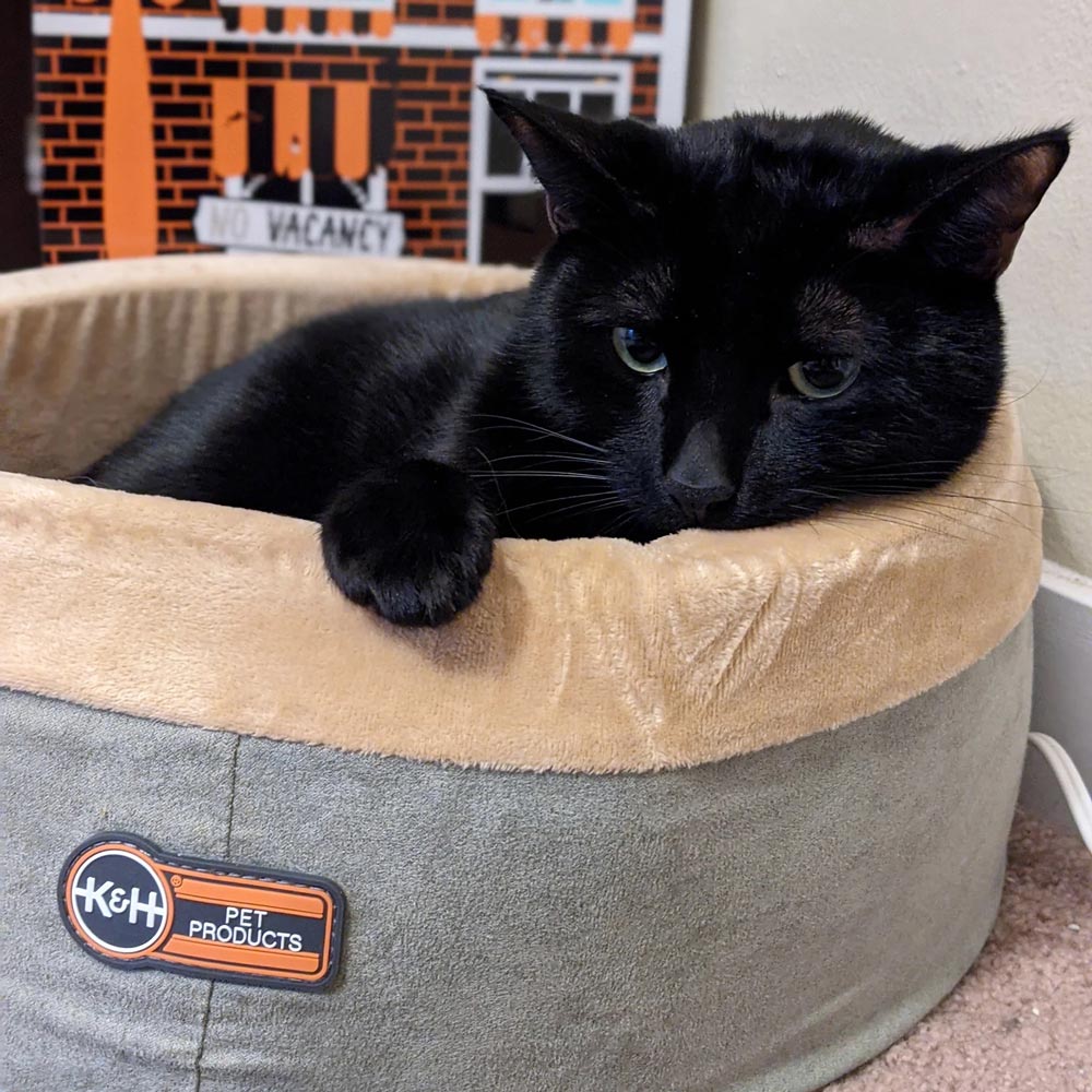 Luxury Pet Essentials - Purrfect Pet Kingdom™