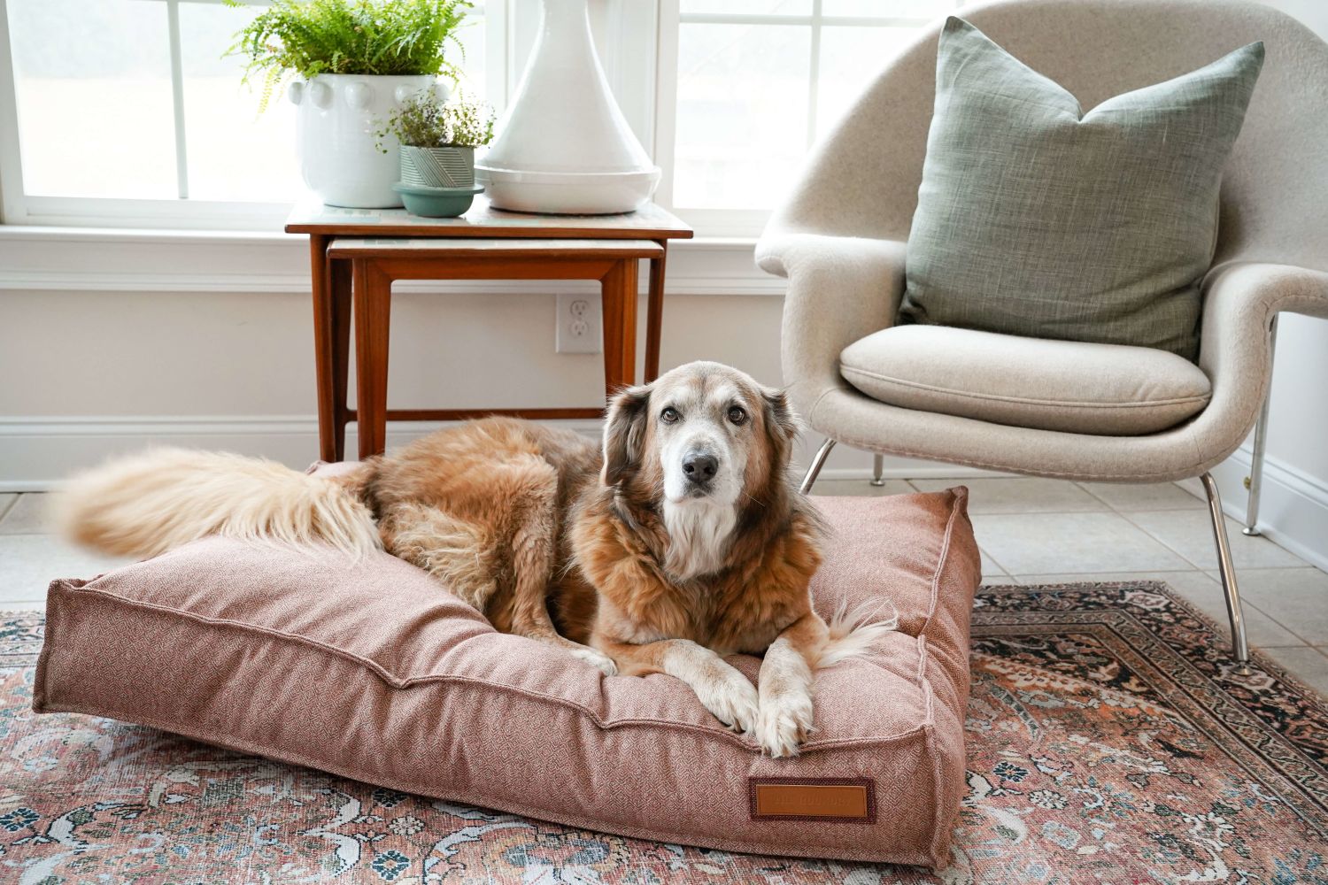 Lounger Pet Bed in Pittie Pink | Purrfect Pet Kingdom