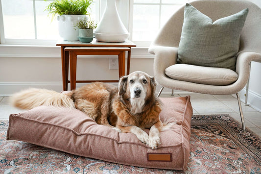 Lounger Pet Bed in Pittie Pink | Purrfect Pet Kingdom