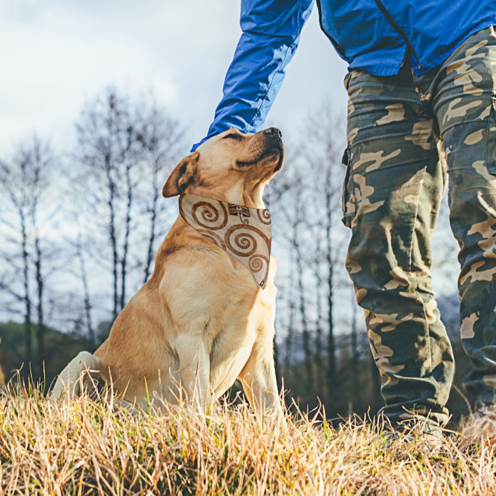 Pet Supply Product | The Finest Market