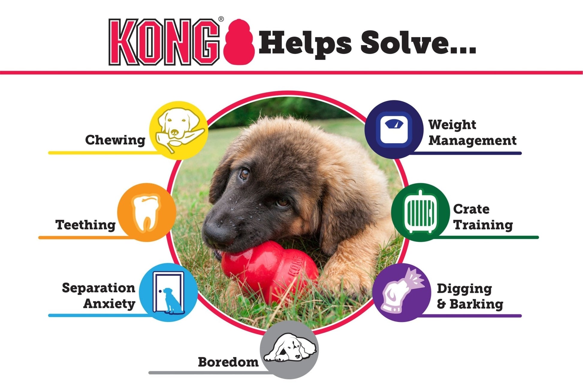 Luxury Pet Essentials - Purrfect Pet Kingdom™