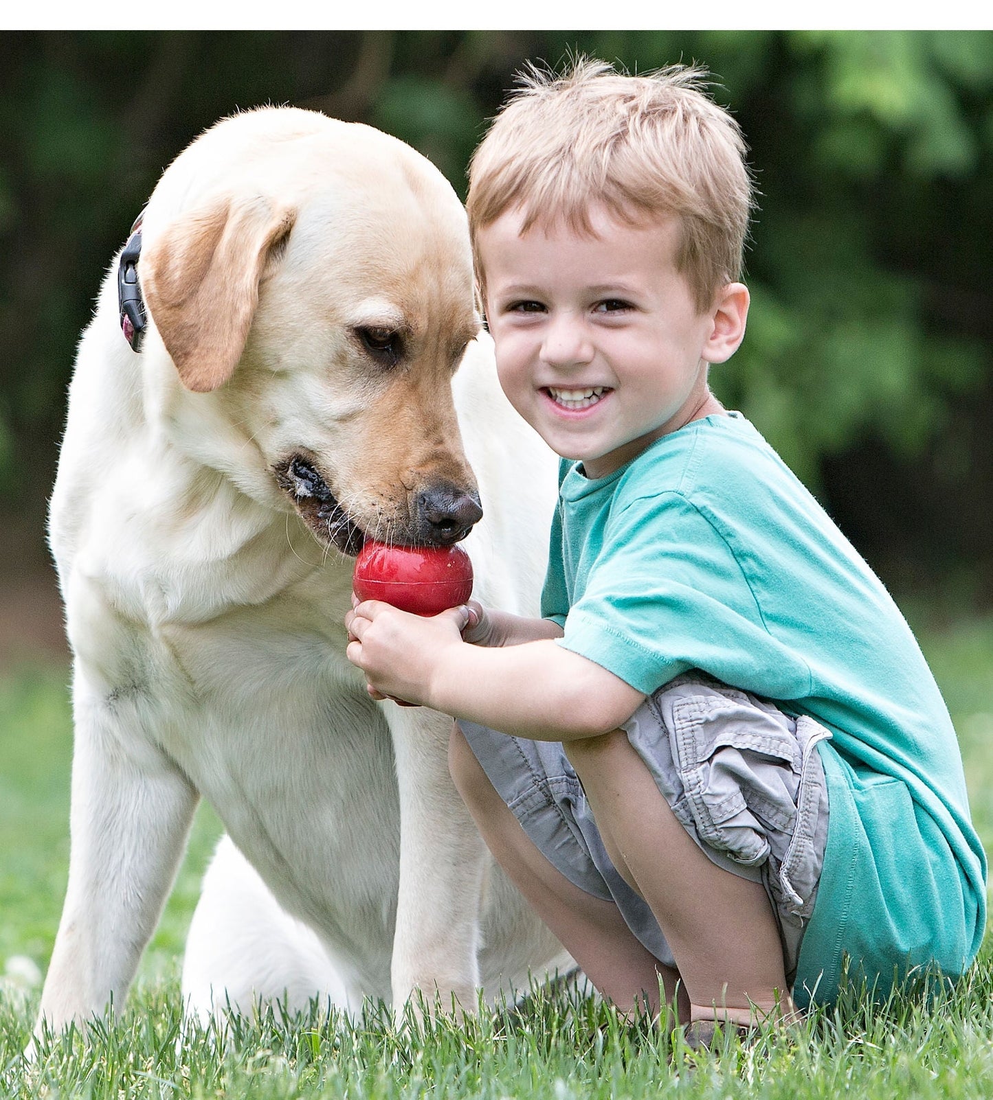 Luxury Pet Essentials - Purrfect Pet Kingdom™