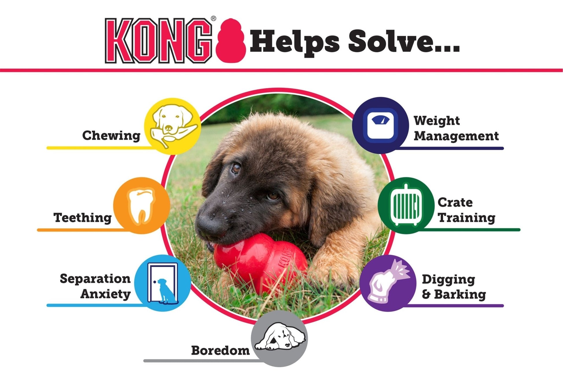 Luxury Pet Essentials - Purrfect Pet Kingdom™