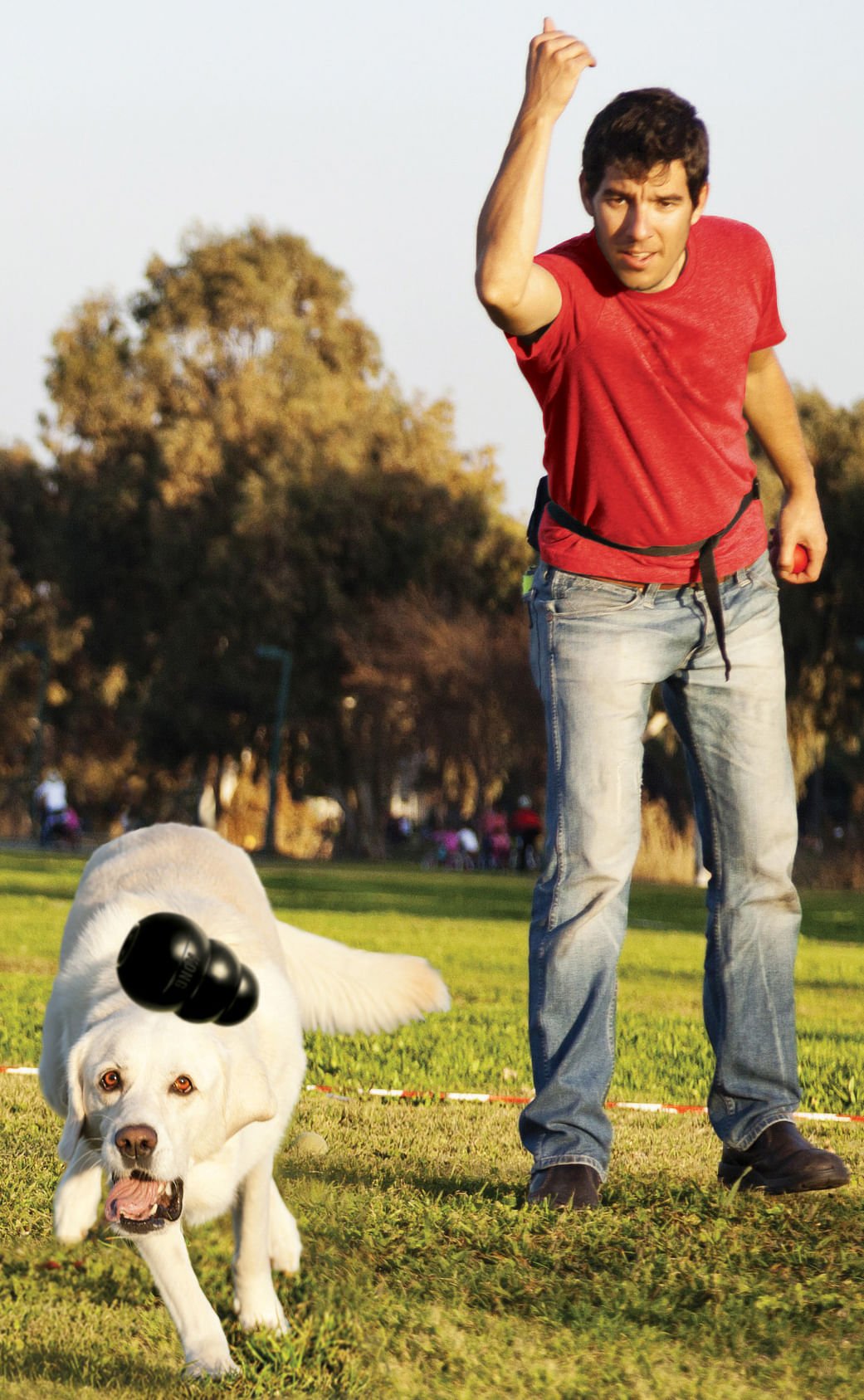 Luxury Pet Essentials - Purrfect Pet Kingdom™