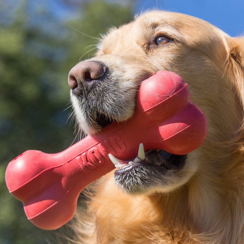 Luxury Pet Essentials - Purrfect Pet Kingdom™