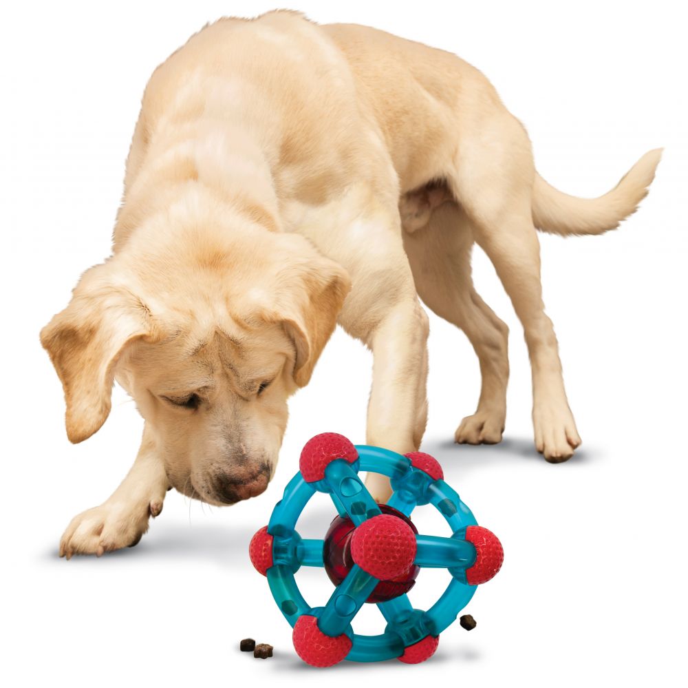 Luxury Pet Essentials - Purrfect Pet Kingdom™
