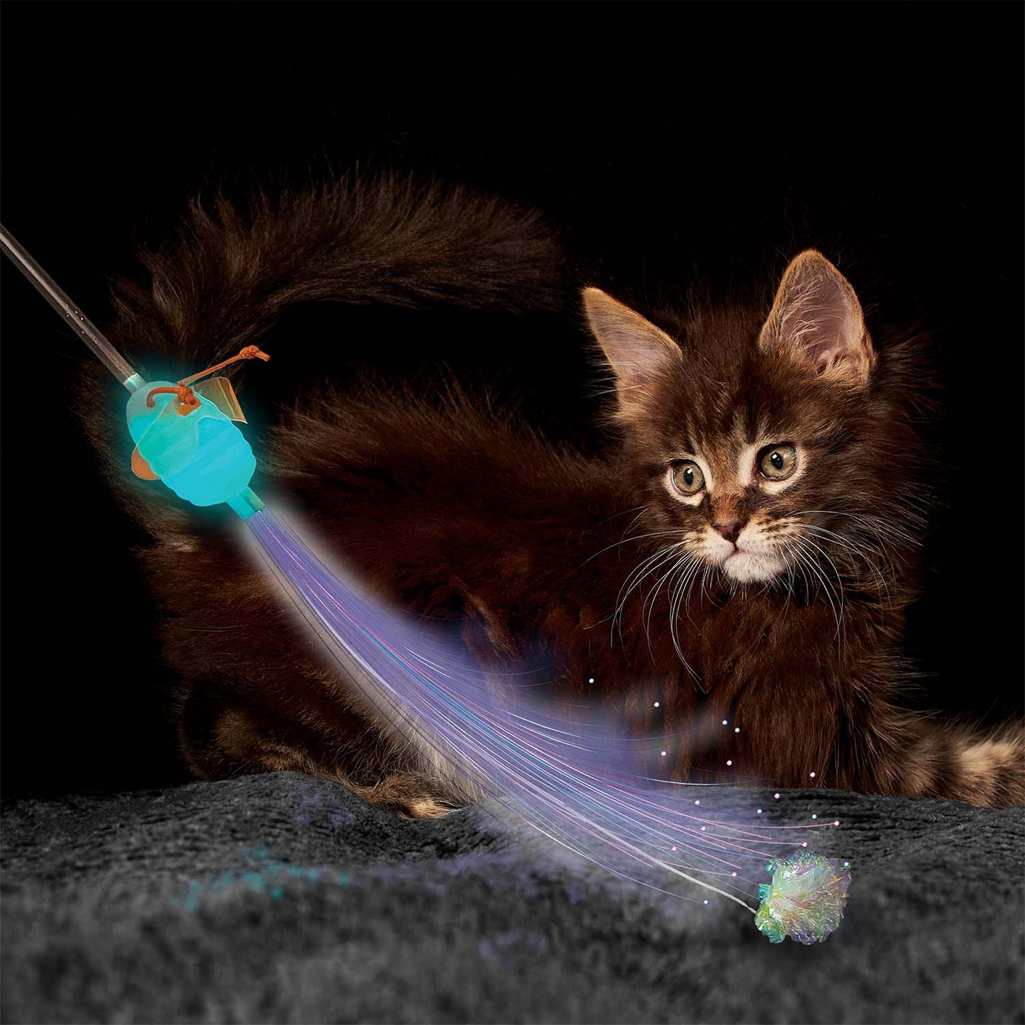 Luxury Pet Essentials - Purrfect Pet Kingdom™