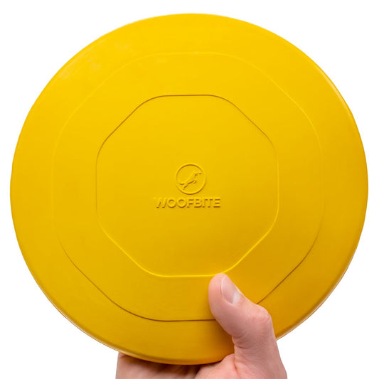 dog-frisbee-launch-disc-long-distance-flying-fetch-to-y-disc-luxury-view-1 | Majestic Pet Kingdom