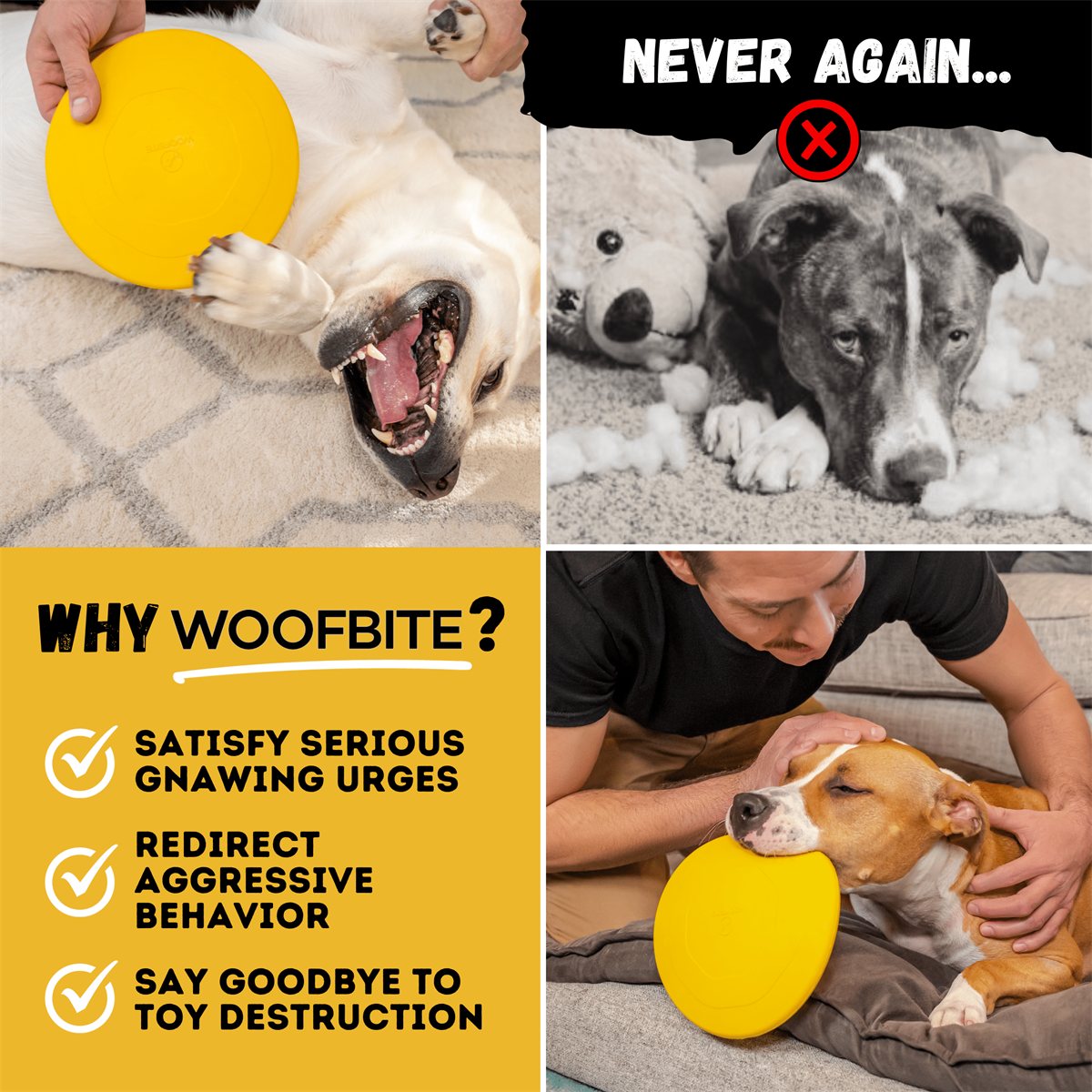 Dog Frisbee Launch Disc Long Distance Flying Fetch Toy Disc - Detail Angle 7 | Majestic Pet Kingdom