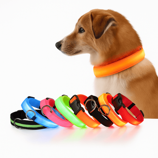 Dog Collar LED Glowing Light-Up 3-Mode Night Safety Nylon Band