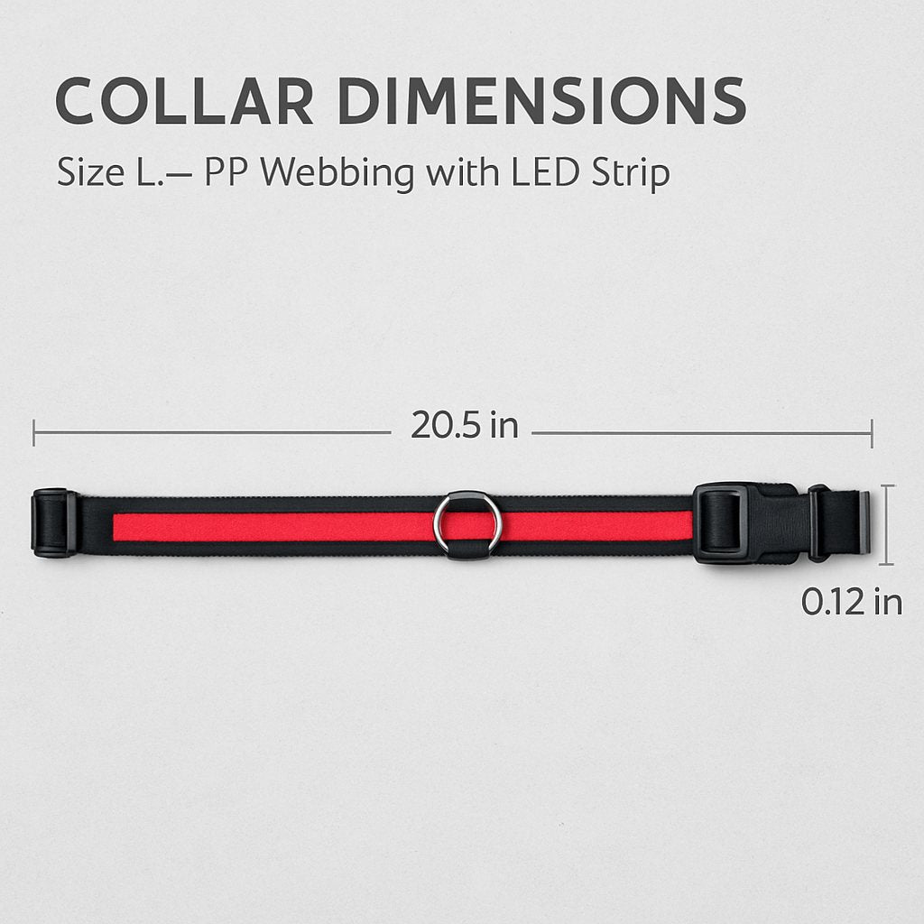 Dog Collar LED Safety Light-Up Glowing Band for Night Walks - Detail Angle 4 | Majestic Pet Kingdom