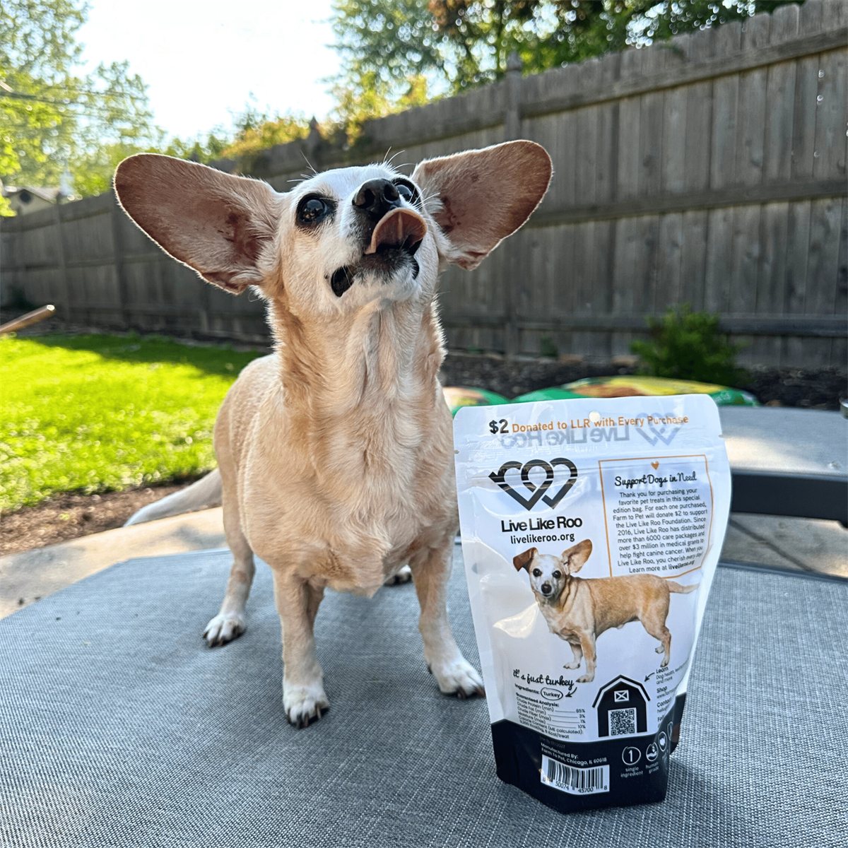 Dog Treats Turkey Feast Chips Single-Ingredient Natural