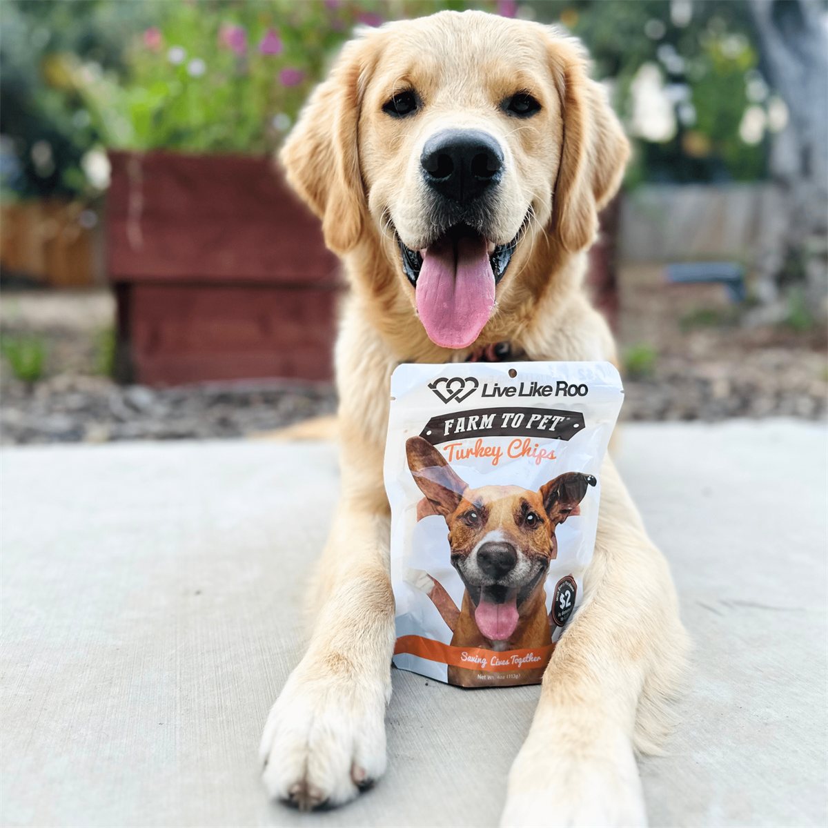Dog Treats Turkey Feast Chips Single-Ingredient Natural