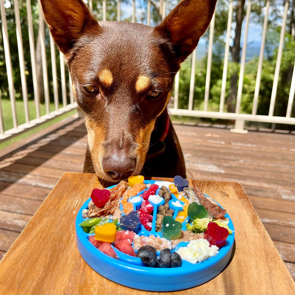 Pet Supply Product | The Finest Market