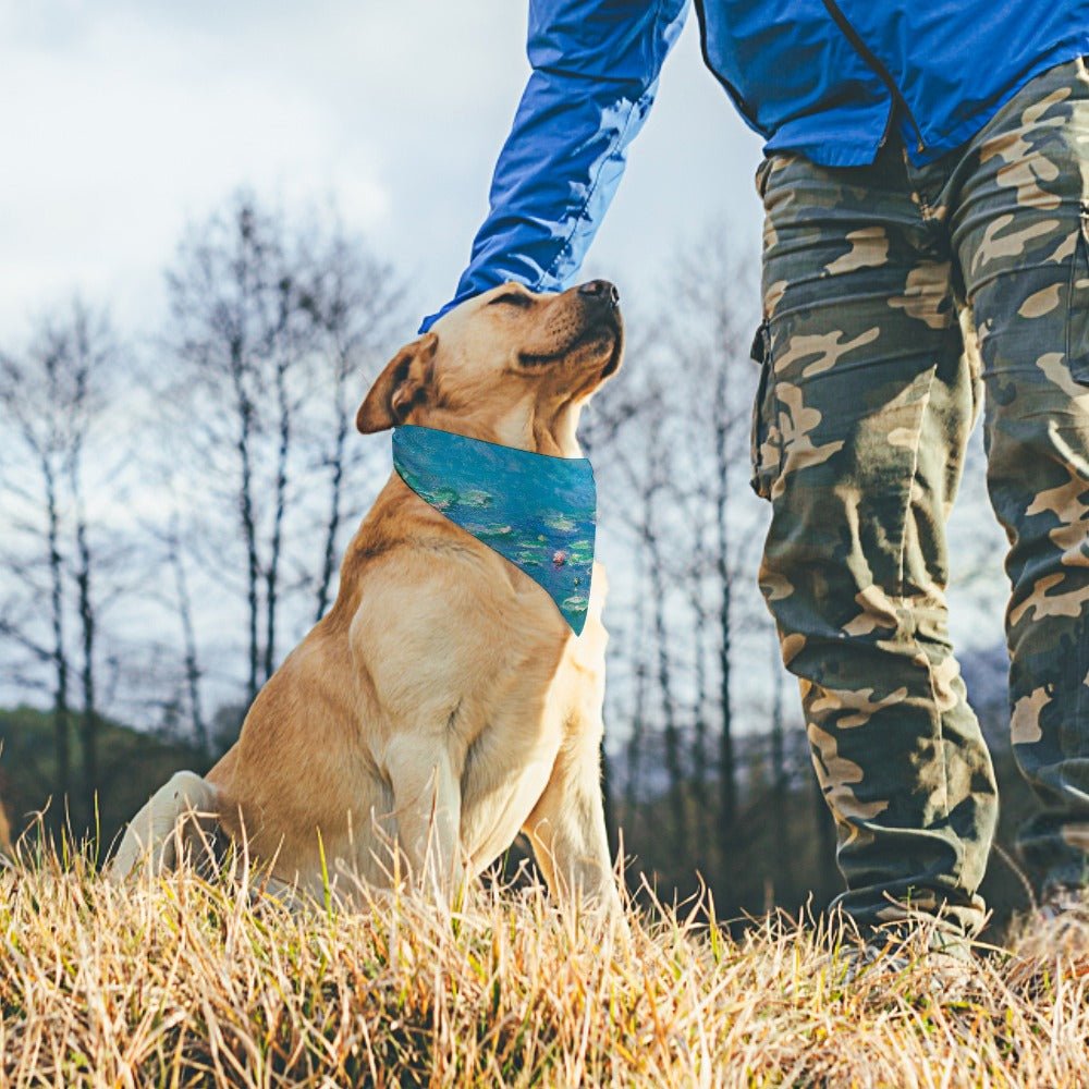 Pet Supply Product | The Finest Market