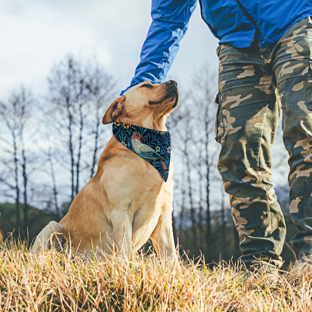Pet Supply Product | The Finest Market