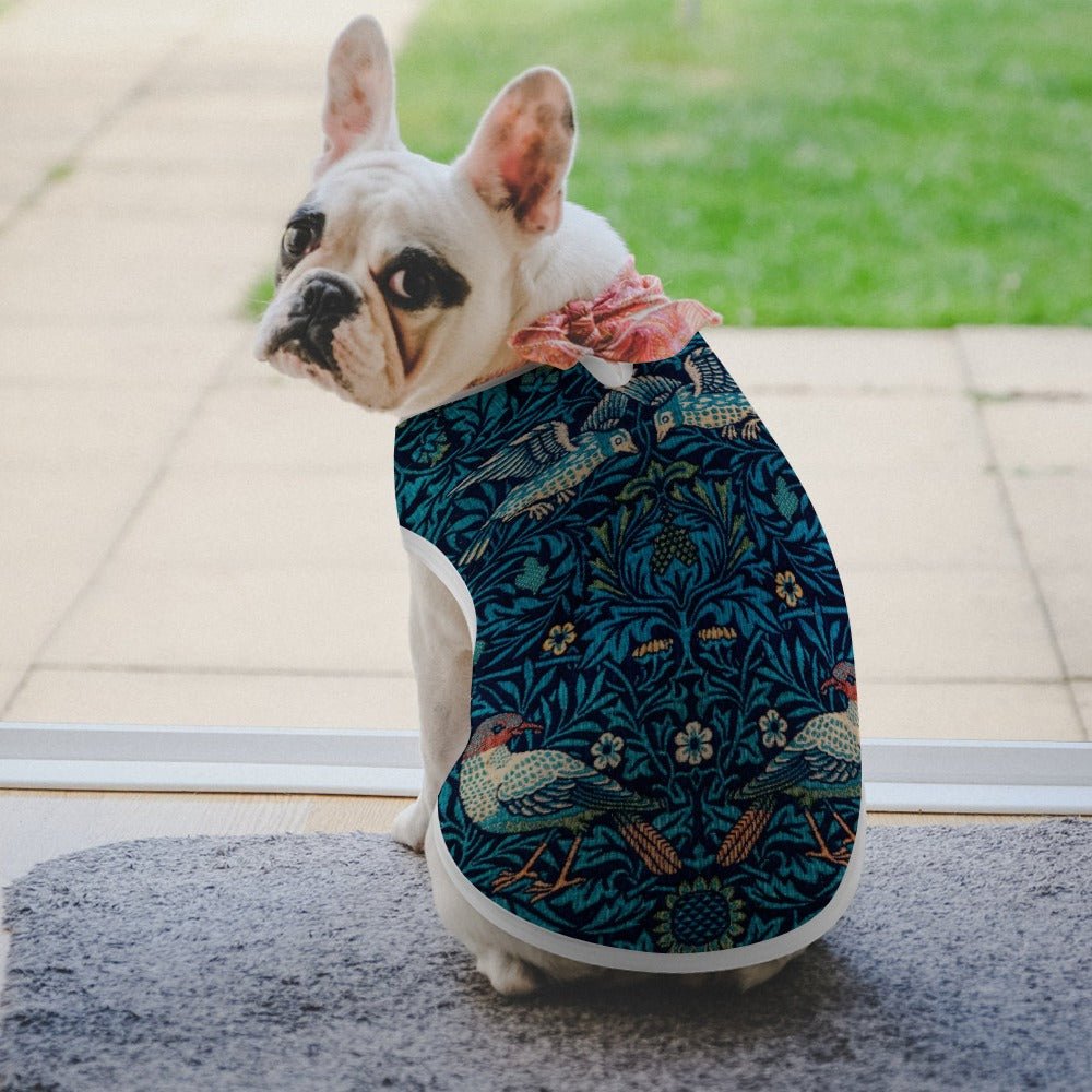Morris Bird Pet Vest | The Finest Market - Premium - Premium - Majestic Pet Kingdom