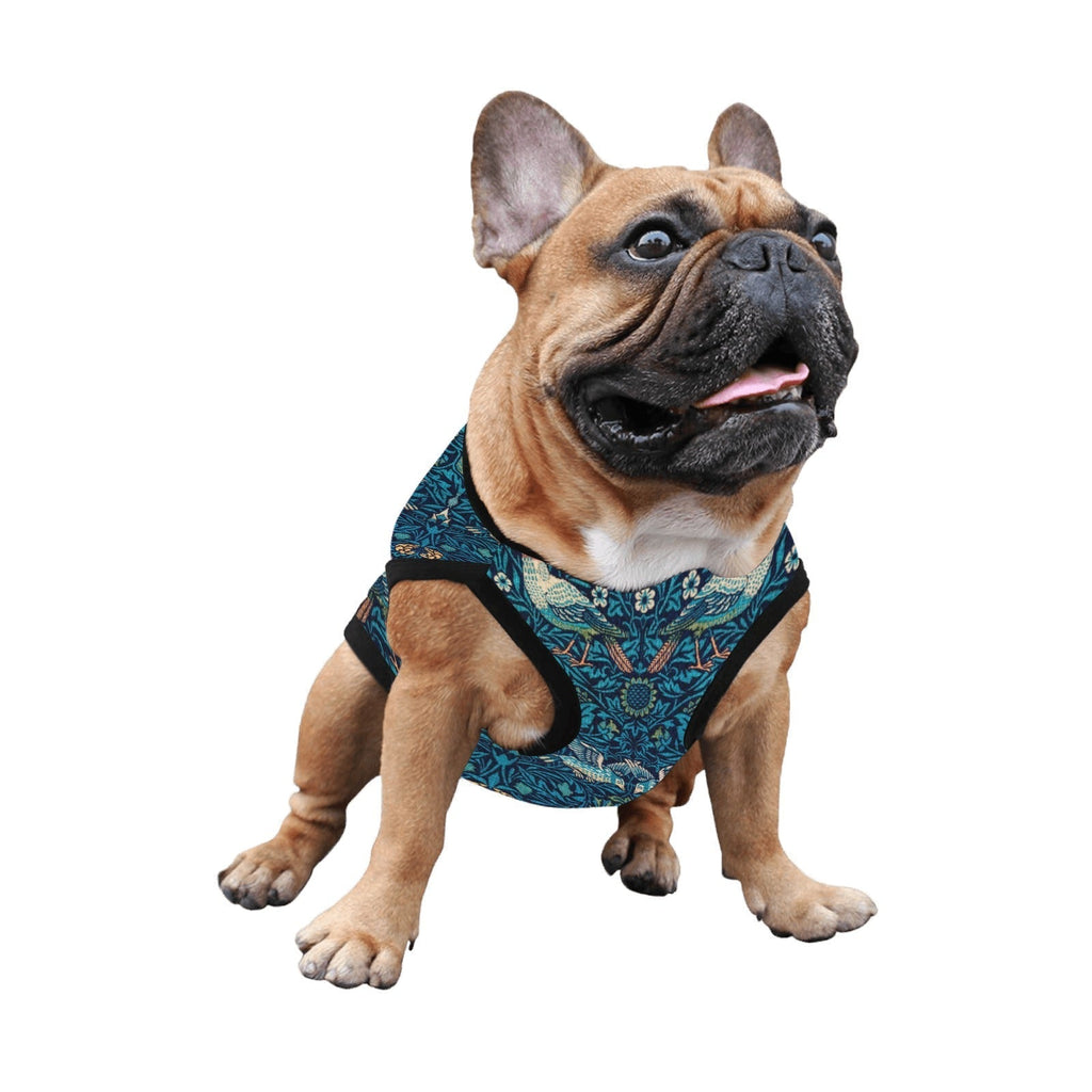 Pet Supply Product | The Finest Market